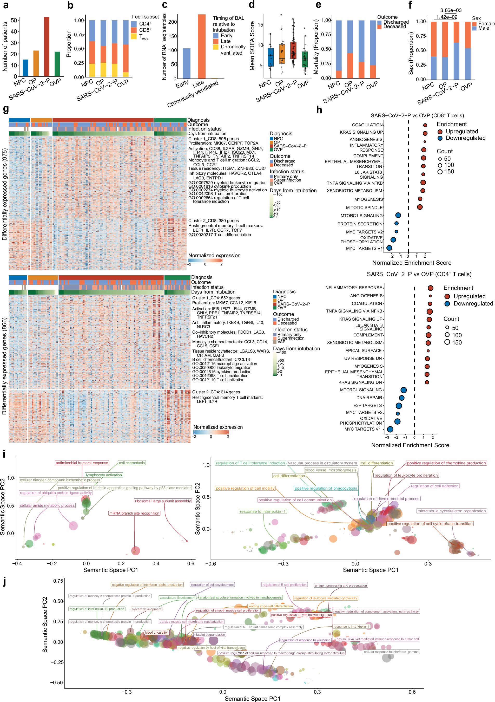 Extended Data Fig. 5: BAL T cells in SARS-CoV-2-P are transcriptionally enriched for immune processes compared with NPC, OP, and OVP.