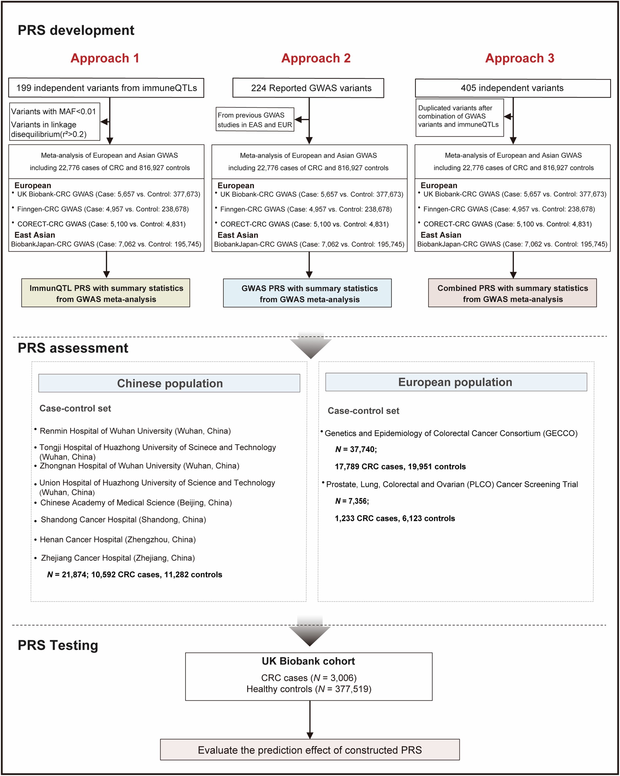 Extended Data Fig. 8: Study design to estimate CRC genetic risk in multi-ethnic populations.