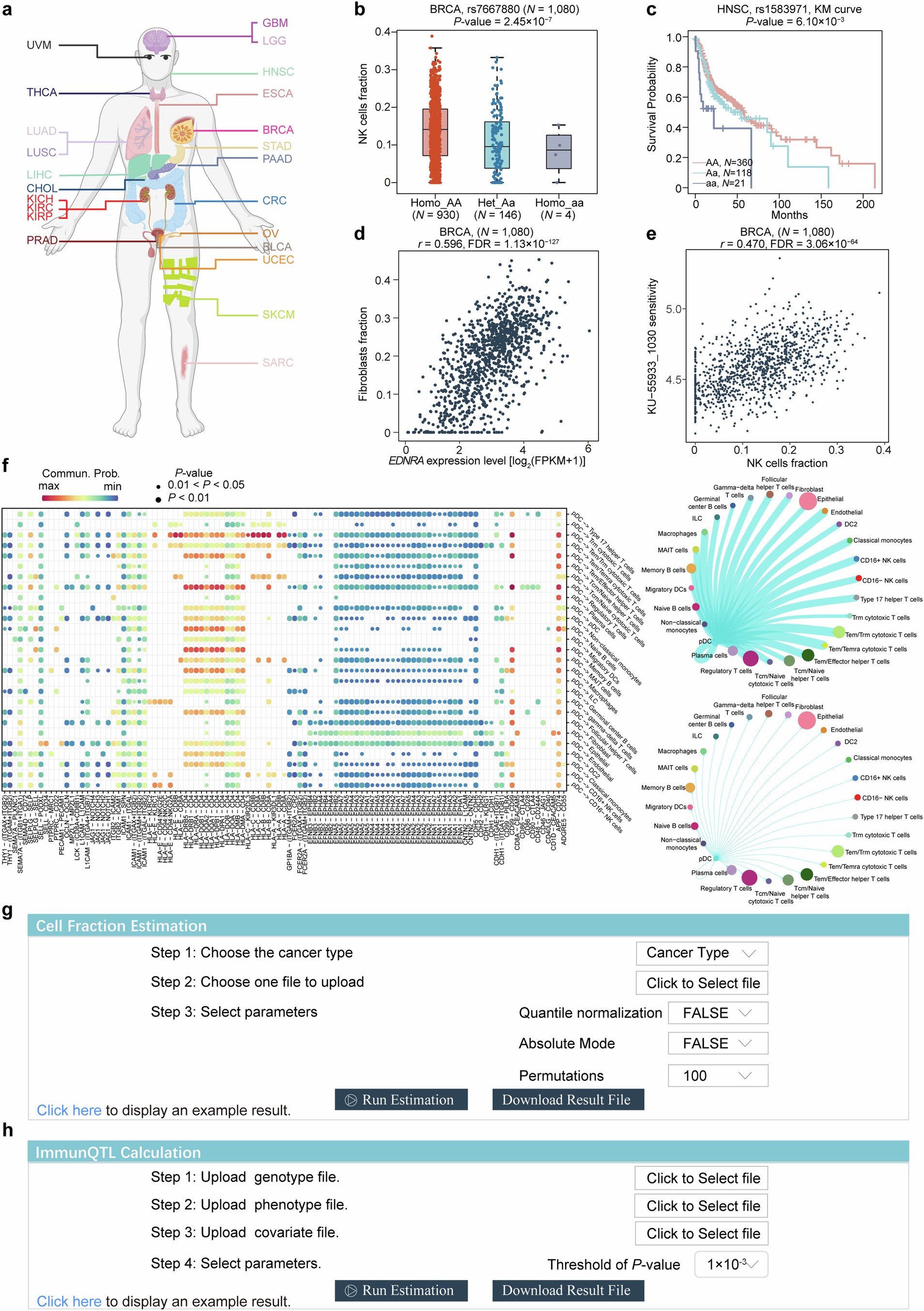 Extended Data Fig. 10: An illustration of modules and outputs in CancerImmunityQTL2.