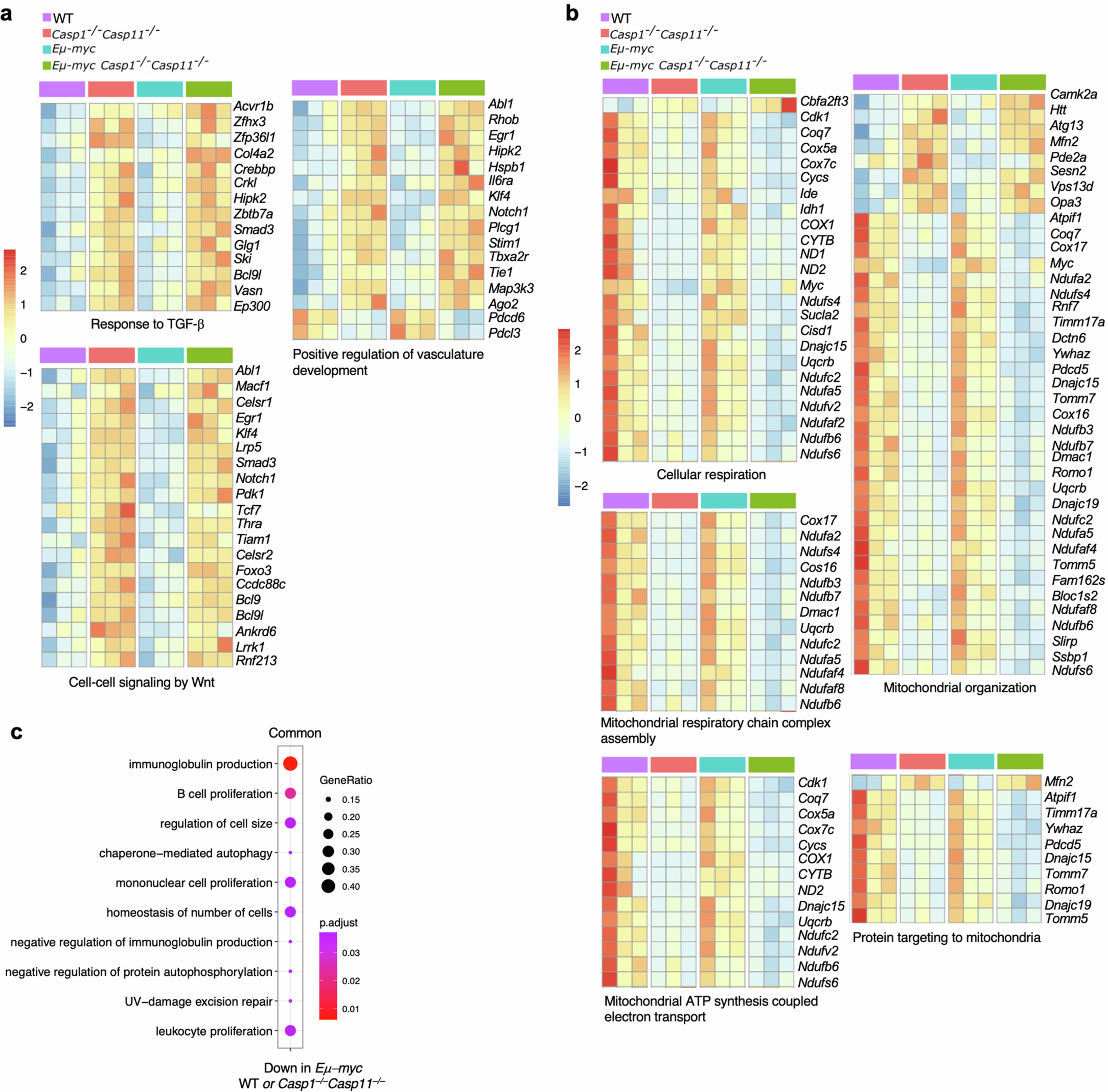 Extended Data Fig. 5