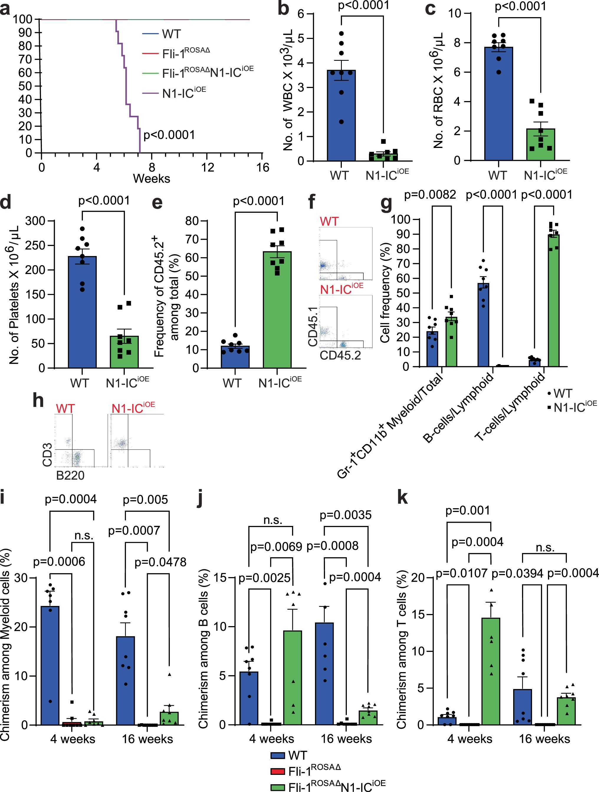 Extended Data Fig. 9: Notch1-driven developmental skewing towards the lymphoid T-cell lineage and T-cell leukemia is attenuated by Fli-1 deficiency.