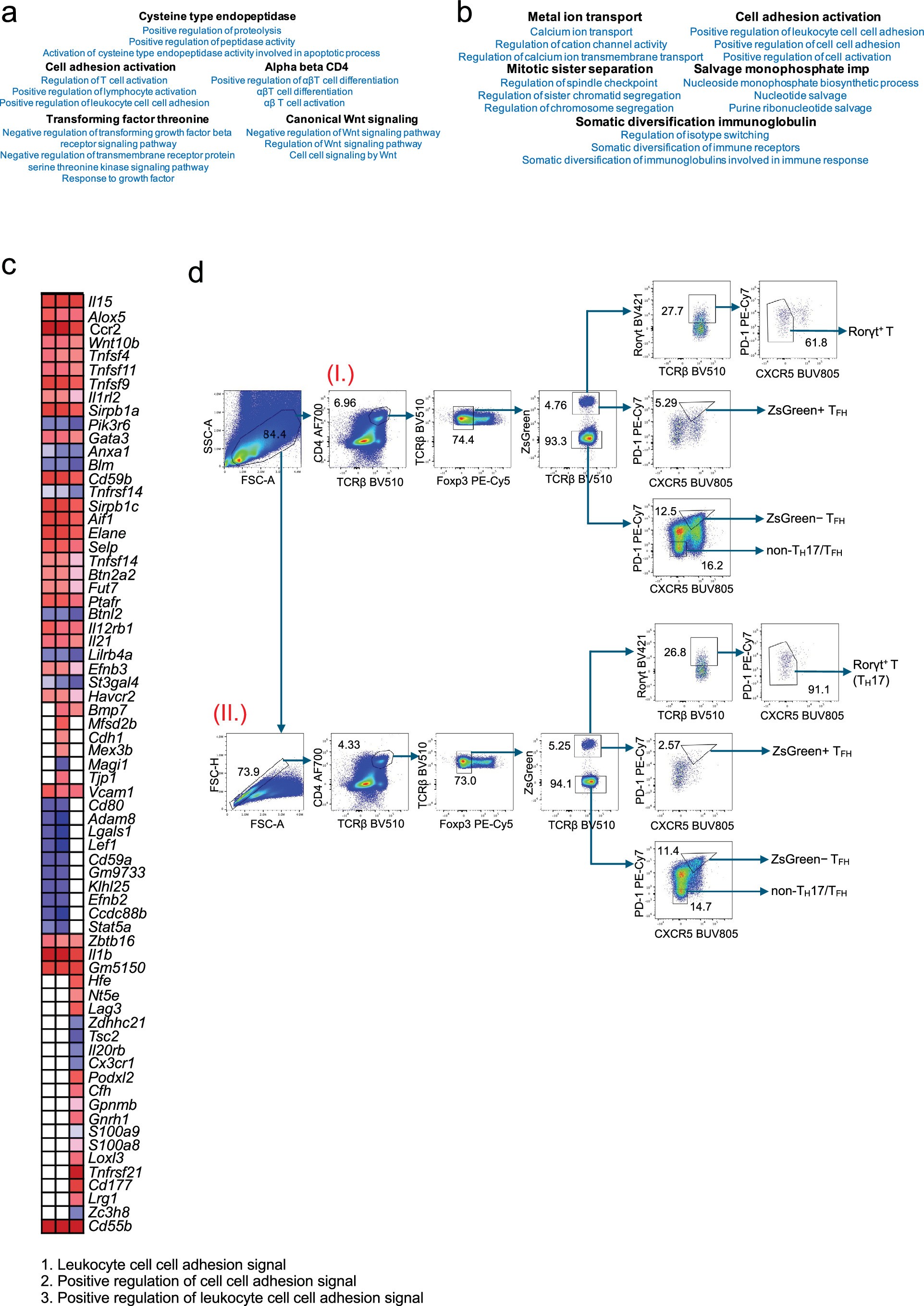 Extended Data Fig. 5: Characterization of murine conventional TFH and TFH17Der cells, and gating strategy of the TFH-B cell doublet.