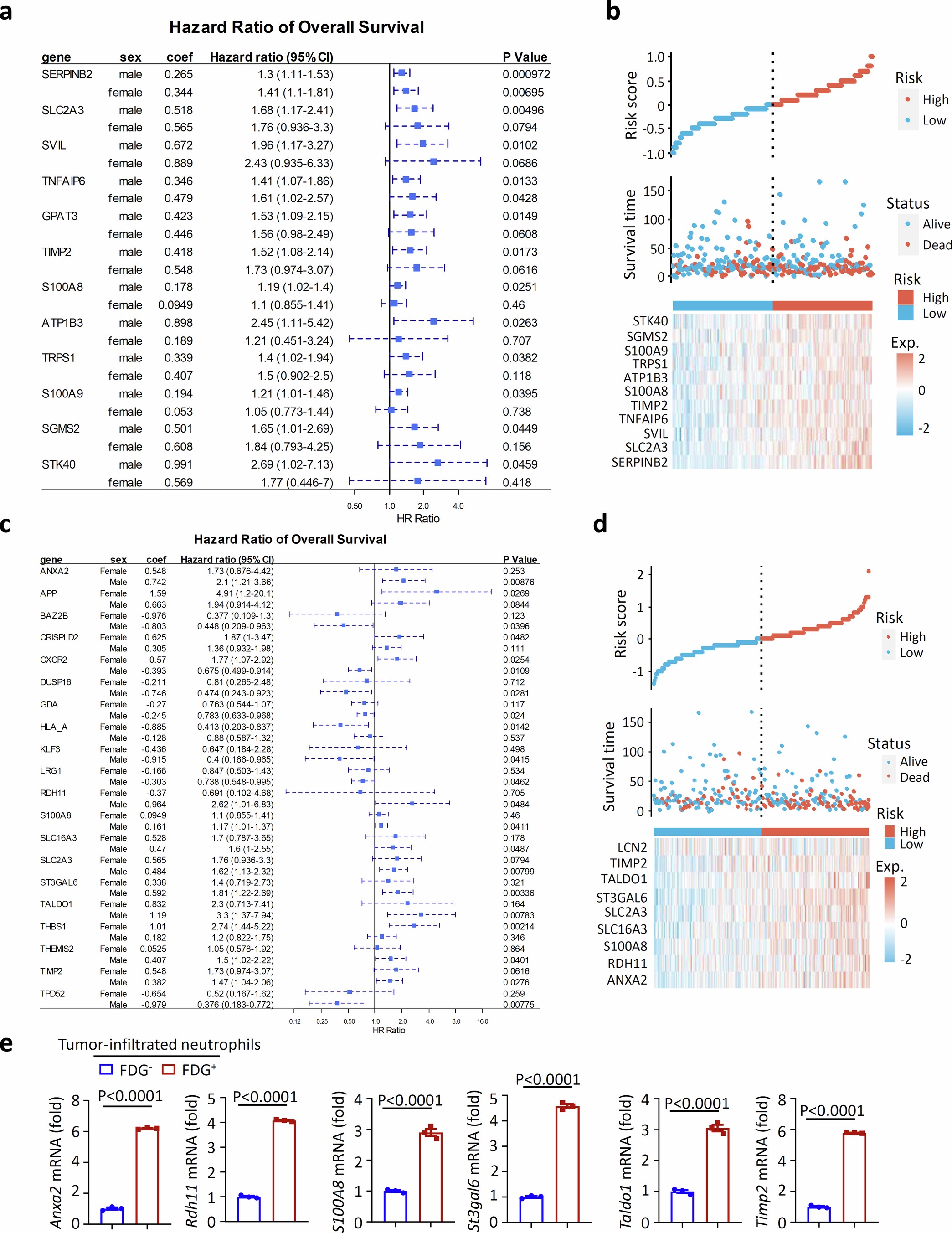 Extended Data Fig. 4: The N3 neutrophil subset predicts poor survival.