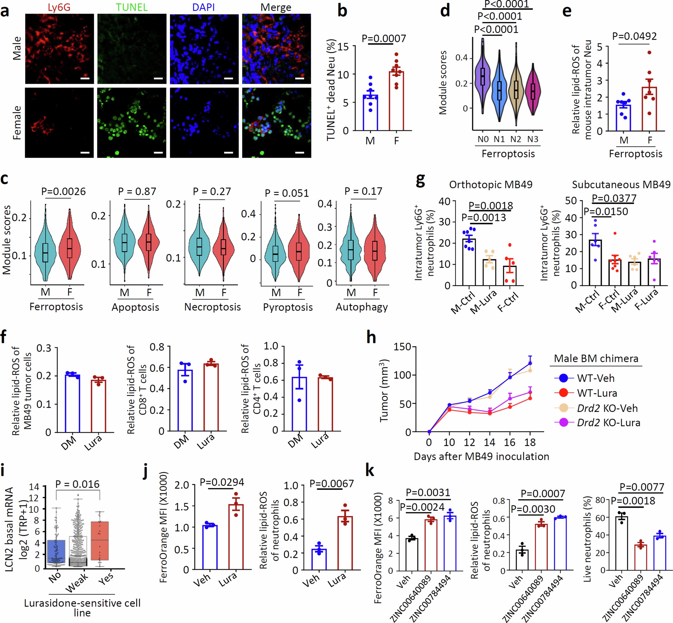 Extended Data Fig. 9: Lcn2 is the target of lurasidone.