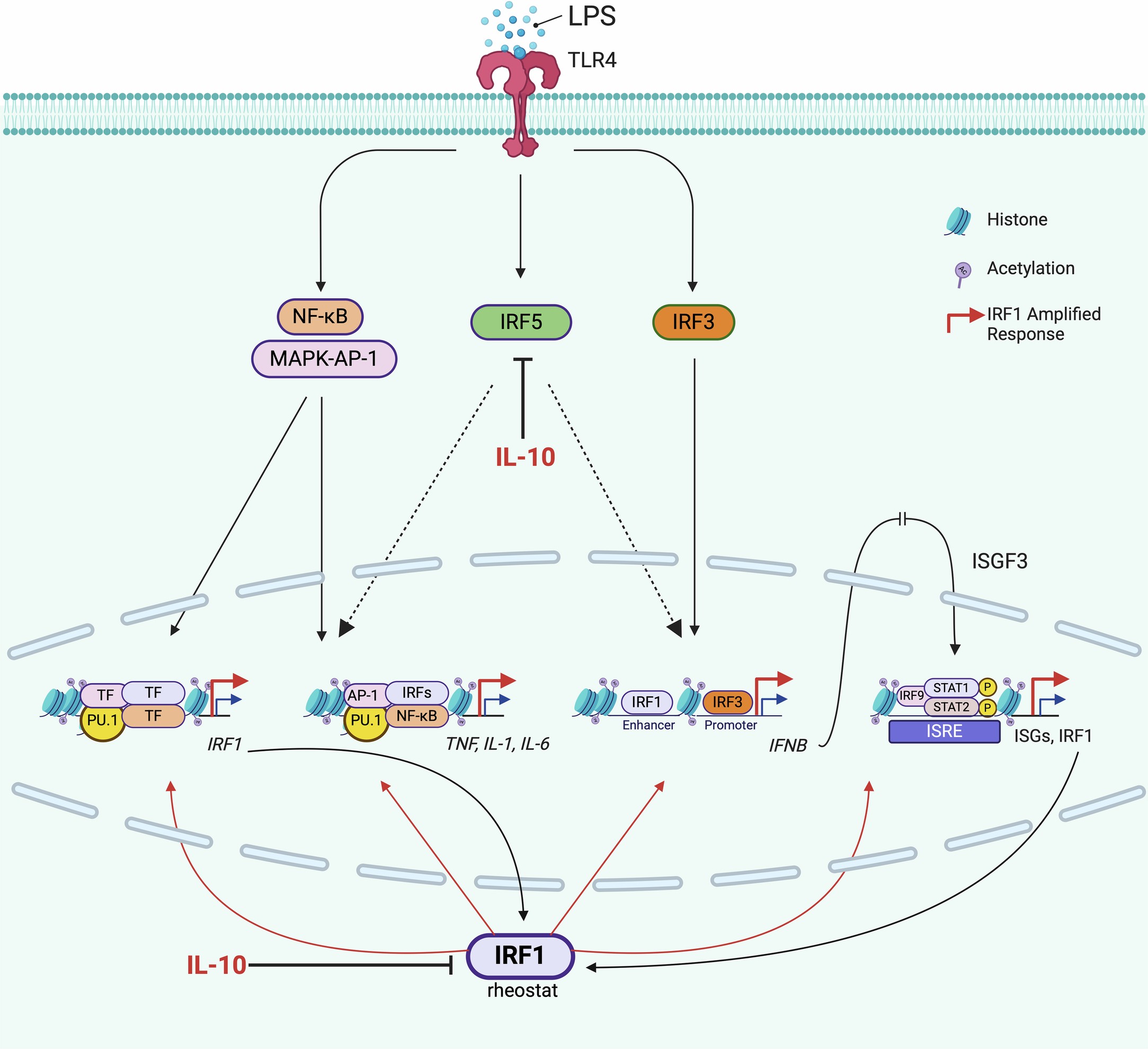 Extended Data Fig. 7