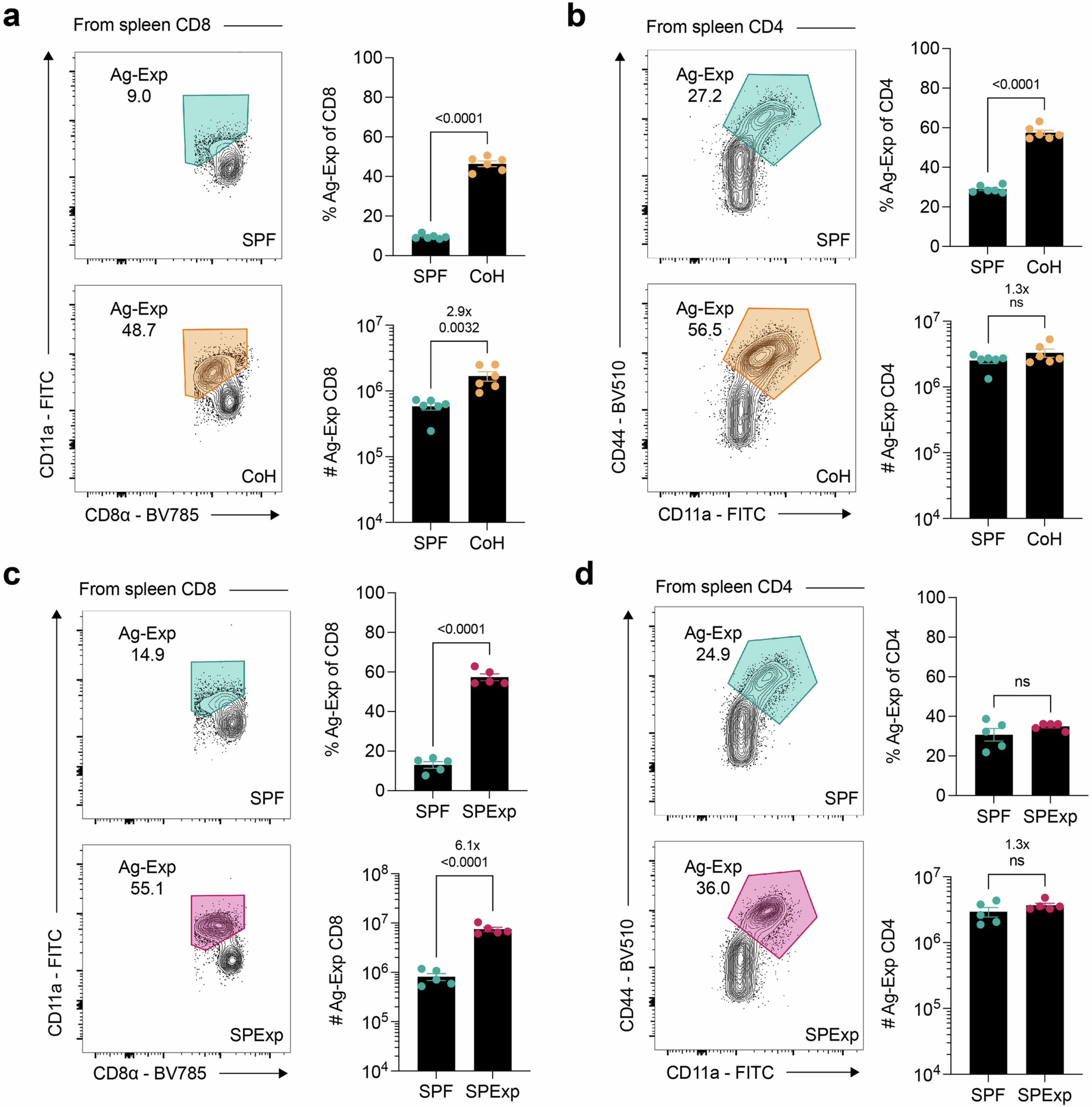 Extended Data Fig. 3: Splenic memory T cell populations are proportionally enhanced in microbe-experienced mice.
