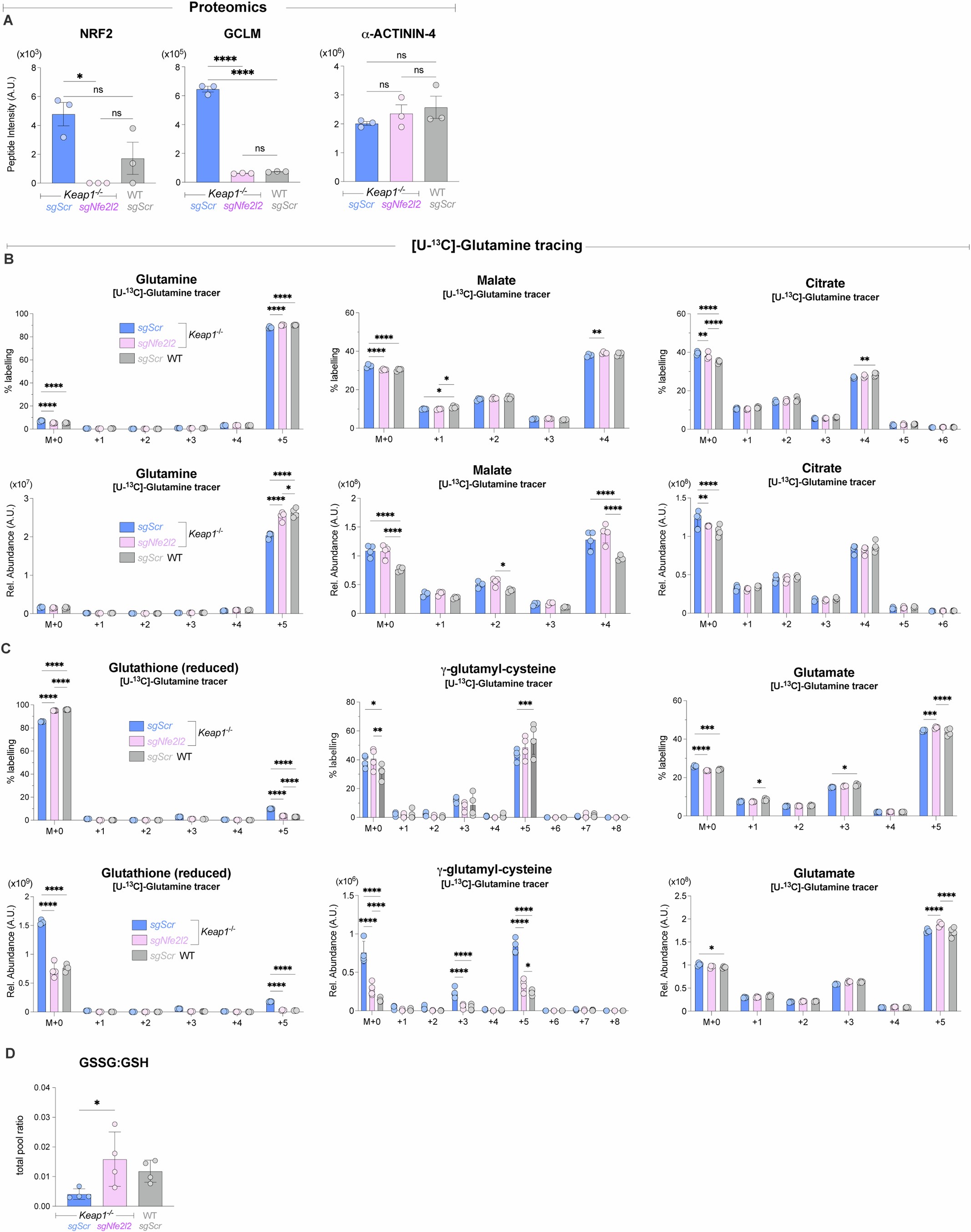 Extended Data Fig. 5