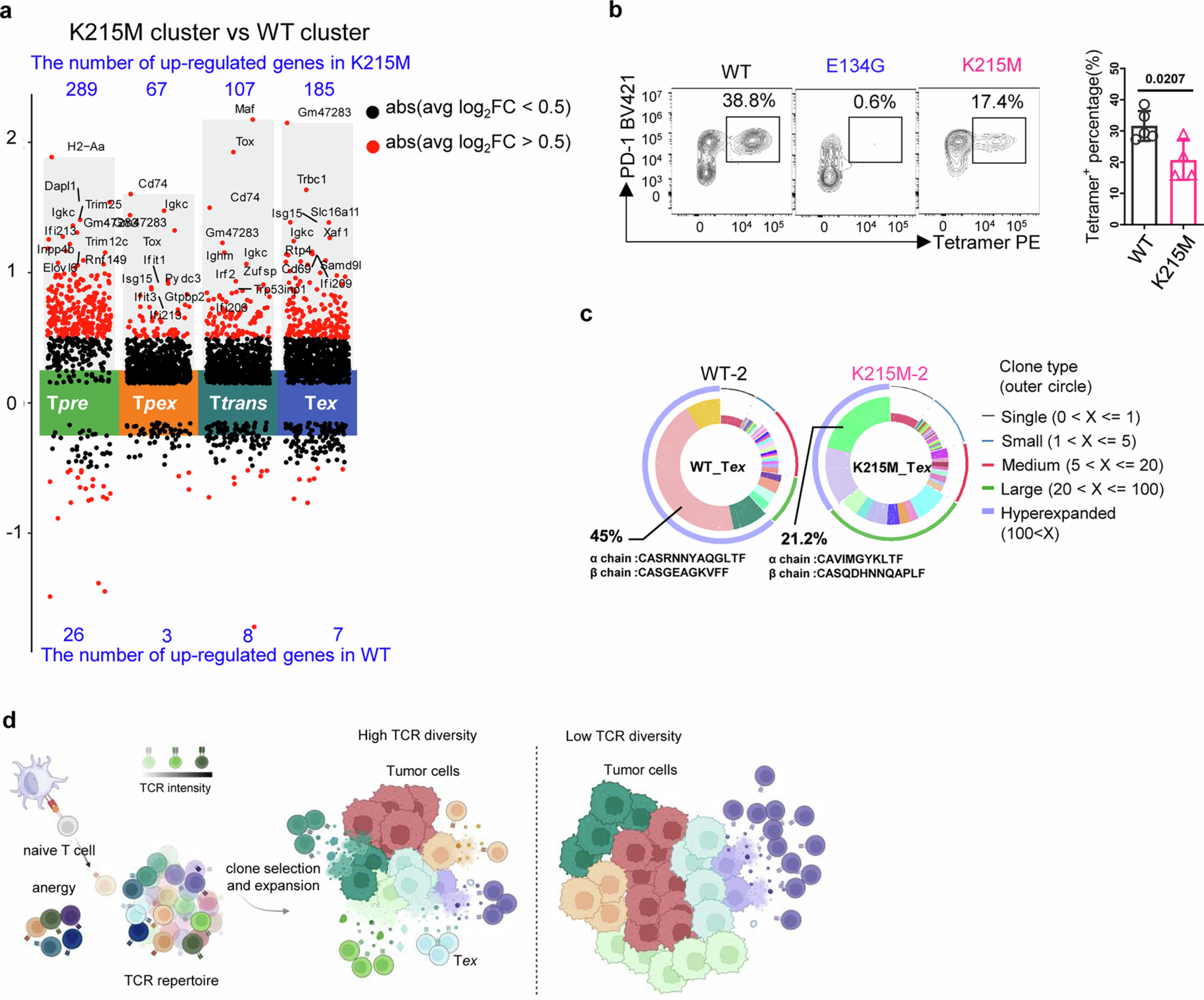Extended Data Fig. 7: The TCR diversity of Tex influences the antitumor efficacy.
