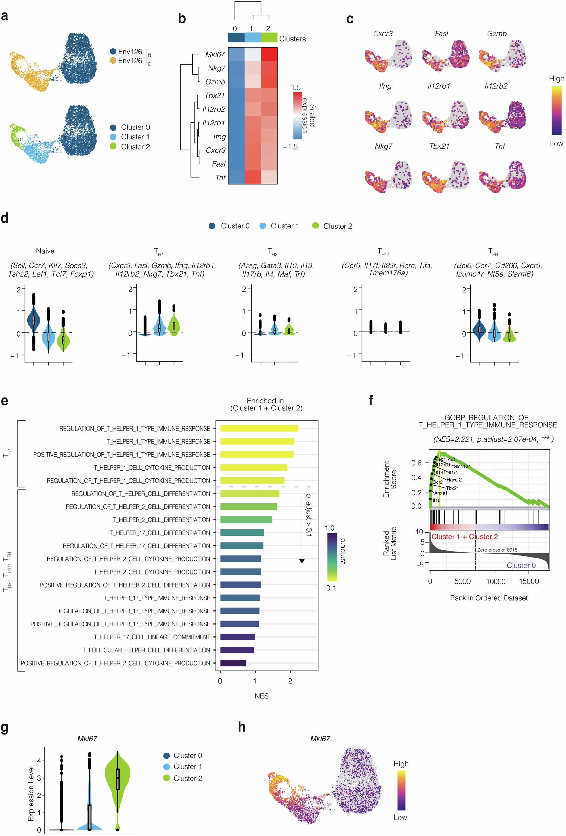 Extended Data Fig. 3: Single-cell RNA sequencing of effector Env126 CD4+ T cells.