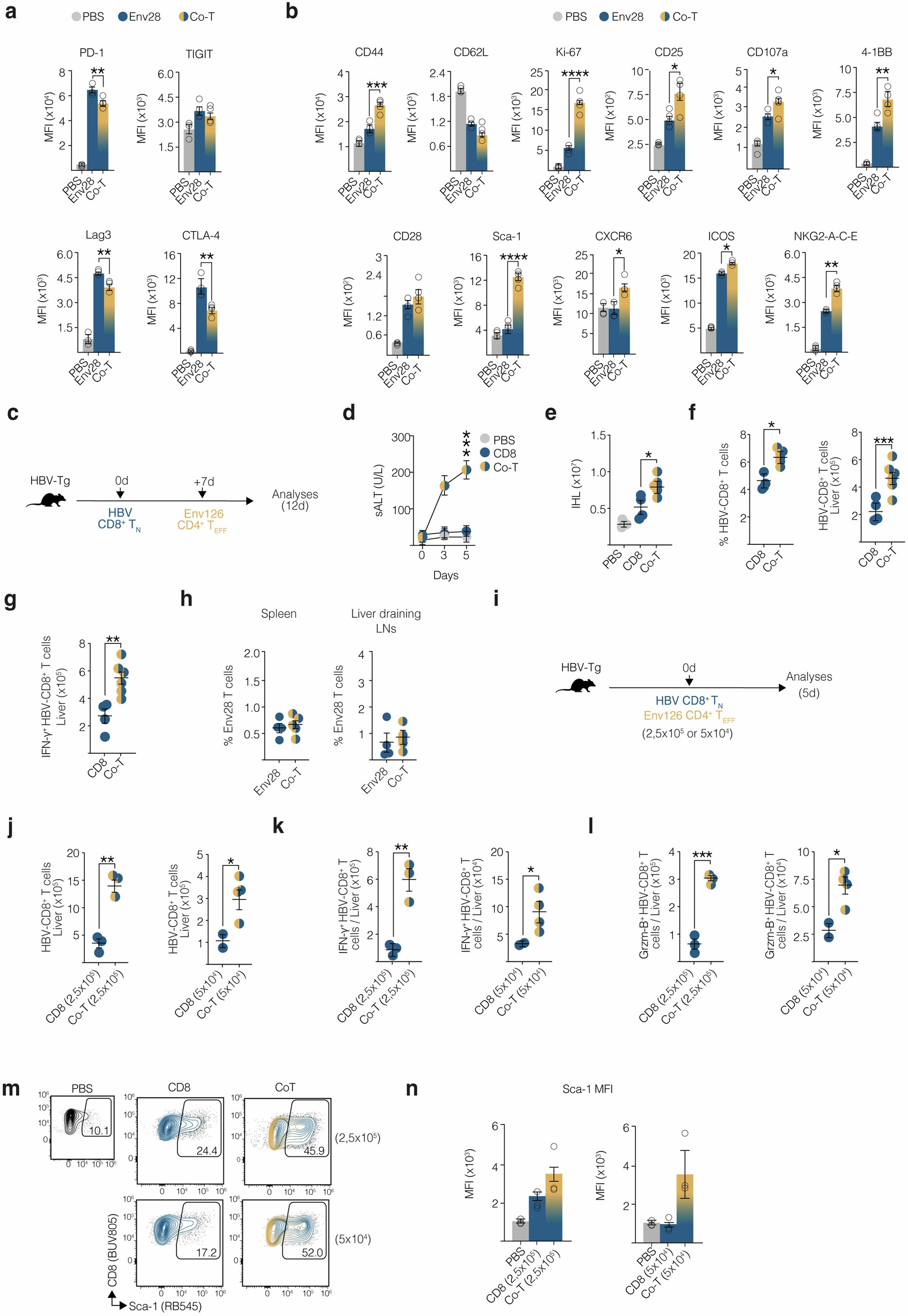 Extended Data Fig. 4: CD4+ T cells prevent and revert CD8+ T cell dysfunction.