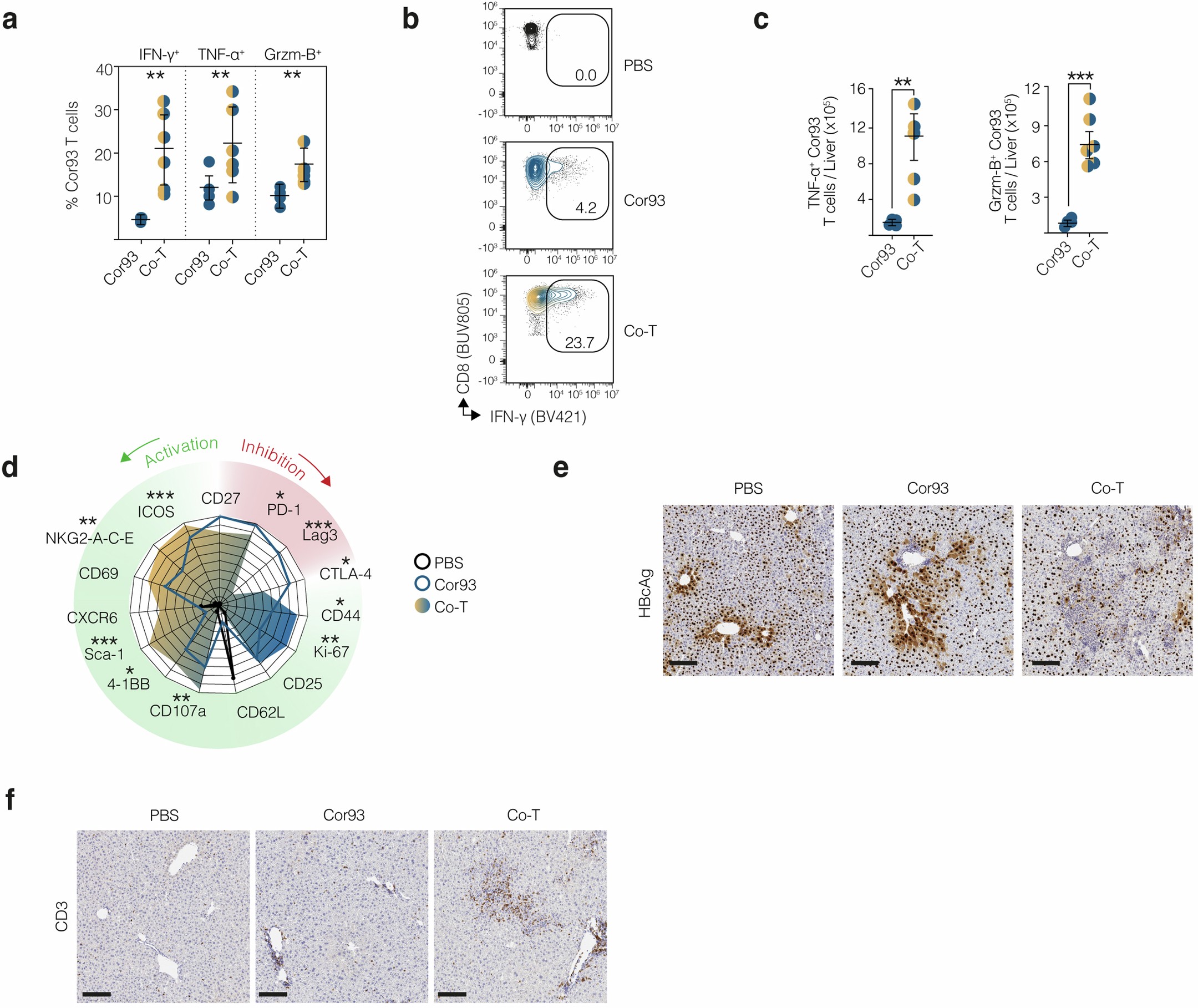Extended Data Fig. 6: Effector CD4+ T cells help is heterologous.