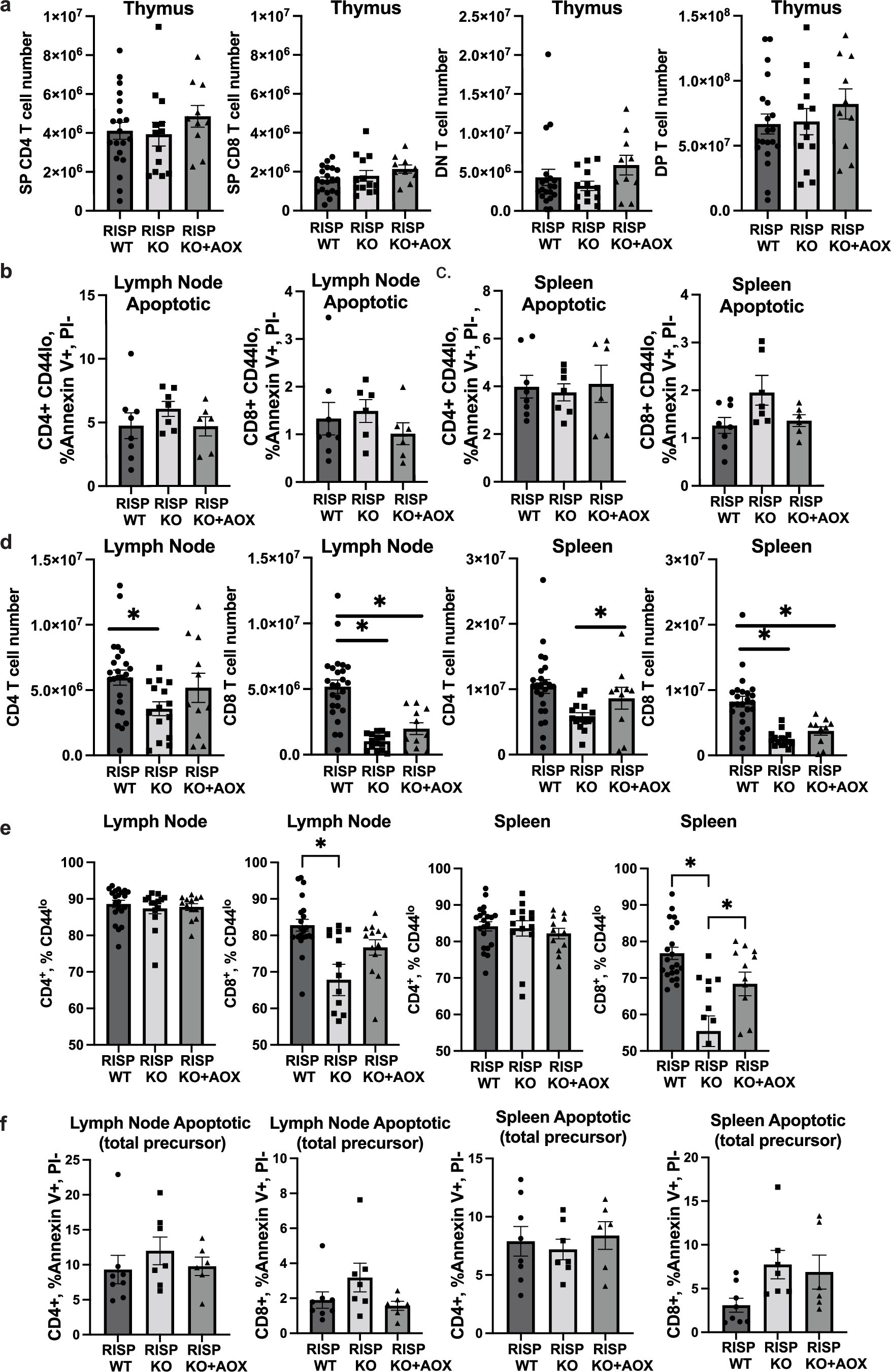 Extended Data Fig. 2: T cell defects in naïve CD4-Cre RISPfl/fl AOXLSL mice.