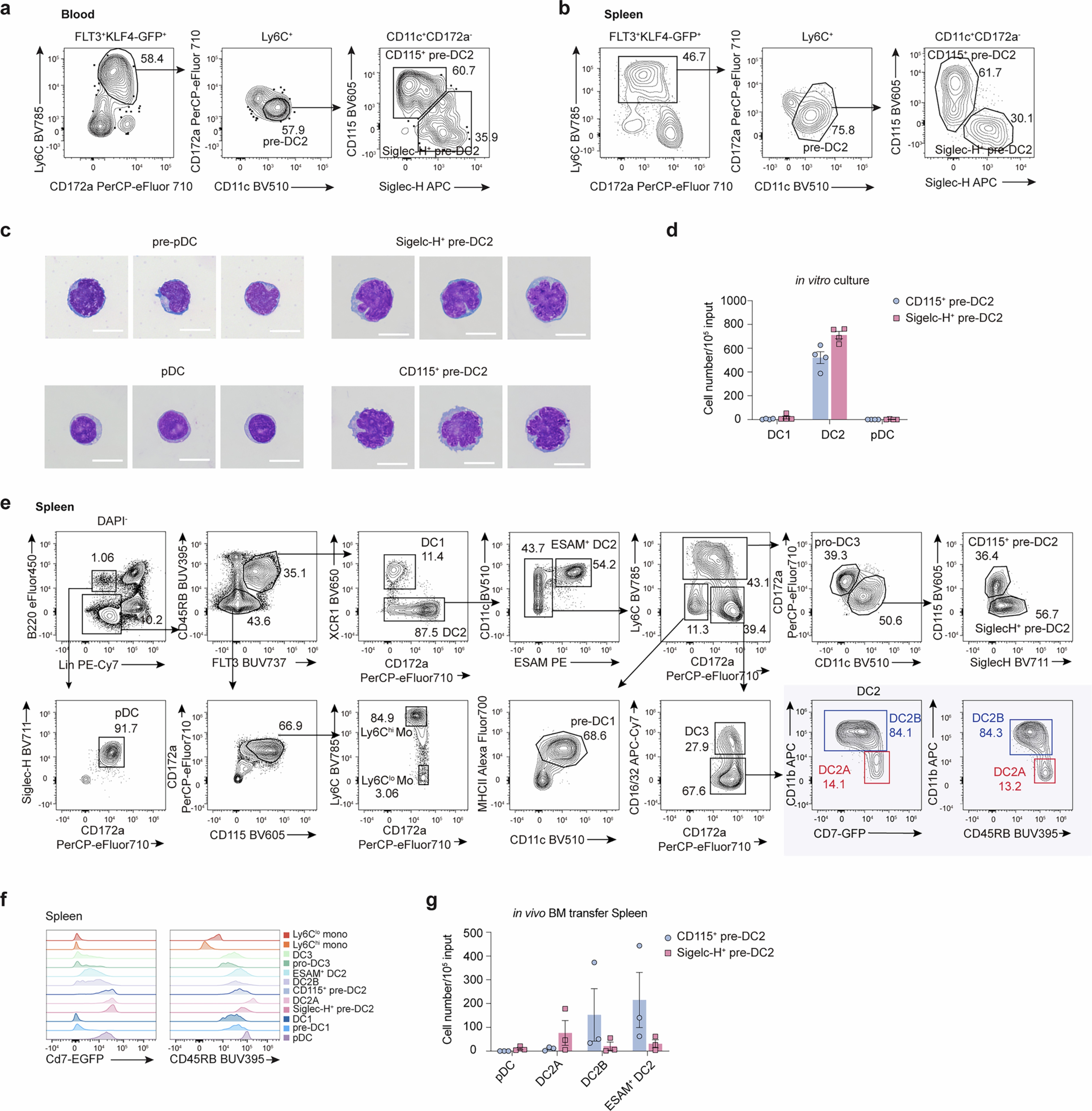 Extended Data Fig. 4: Pre-DC2s contain two subpopulations.