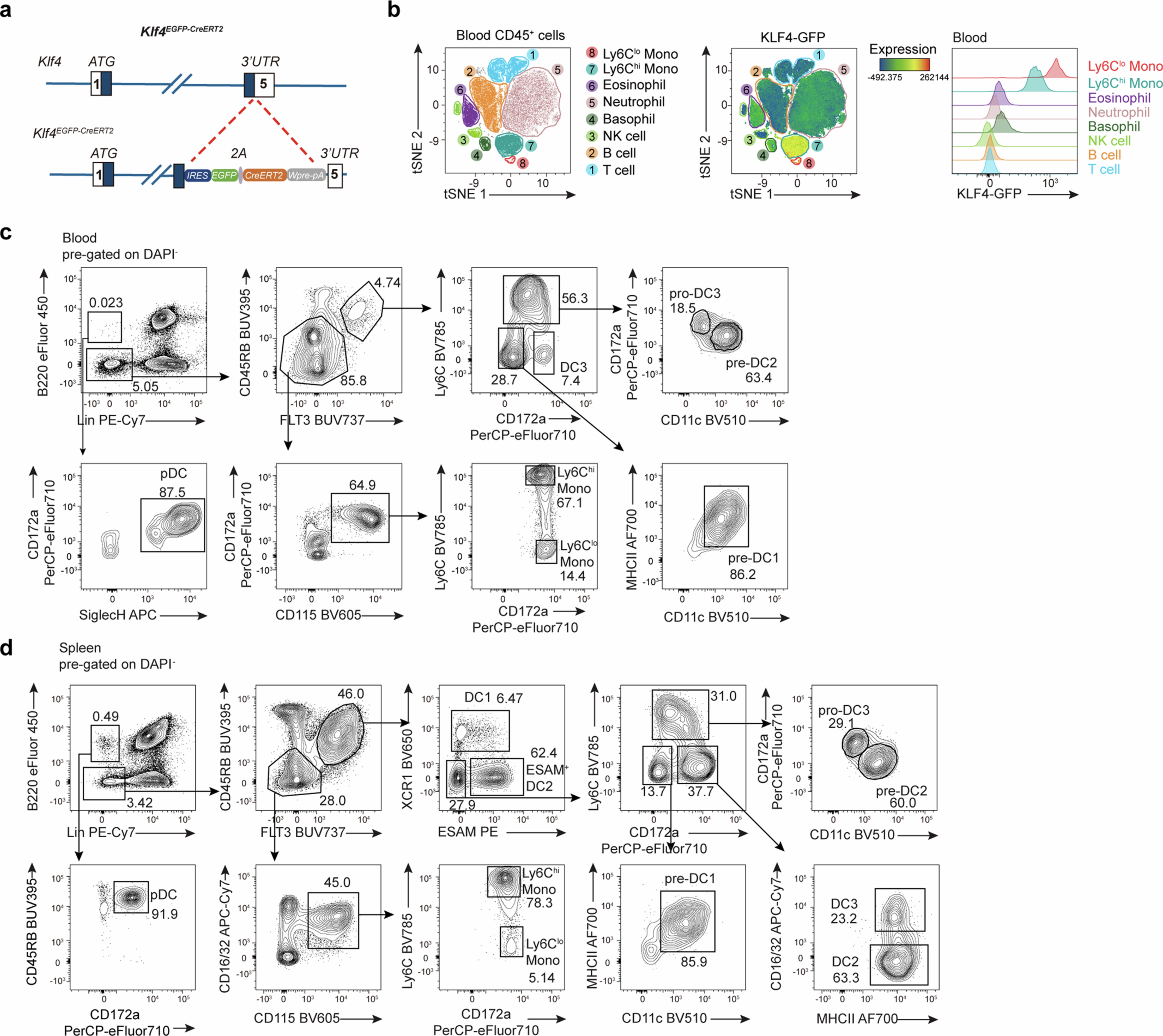 Extended Data Fig. 2: KLF4 expression distinguishes cDCs from pDCs.