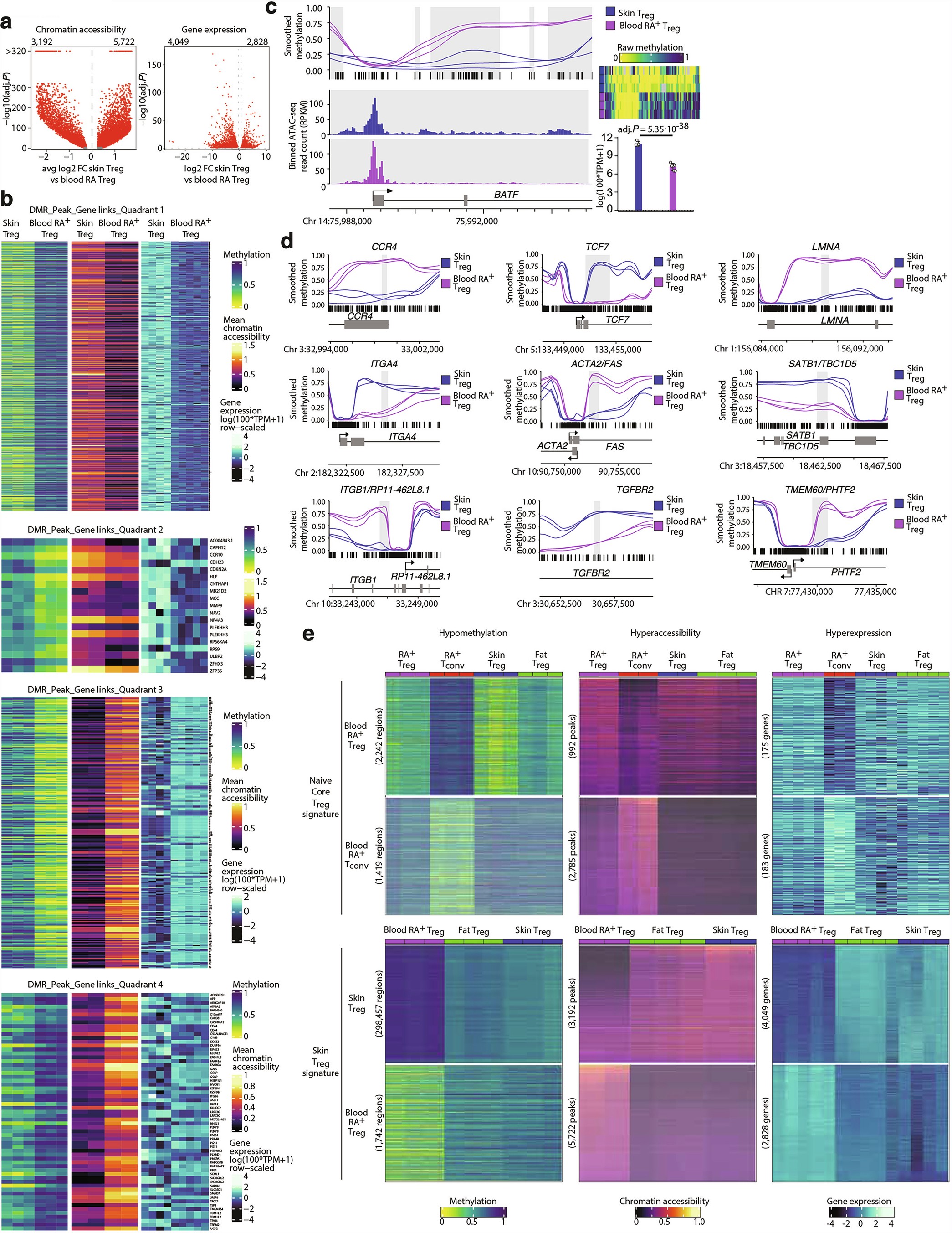 Extended Data Fig. 3: Details and examples of the ‘skin Treg ’ signature.