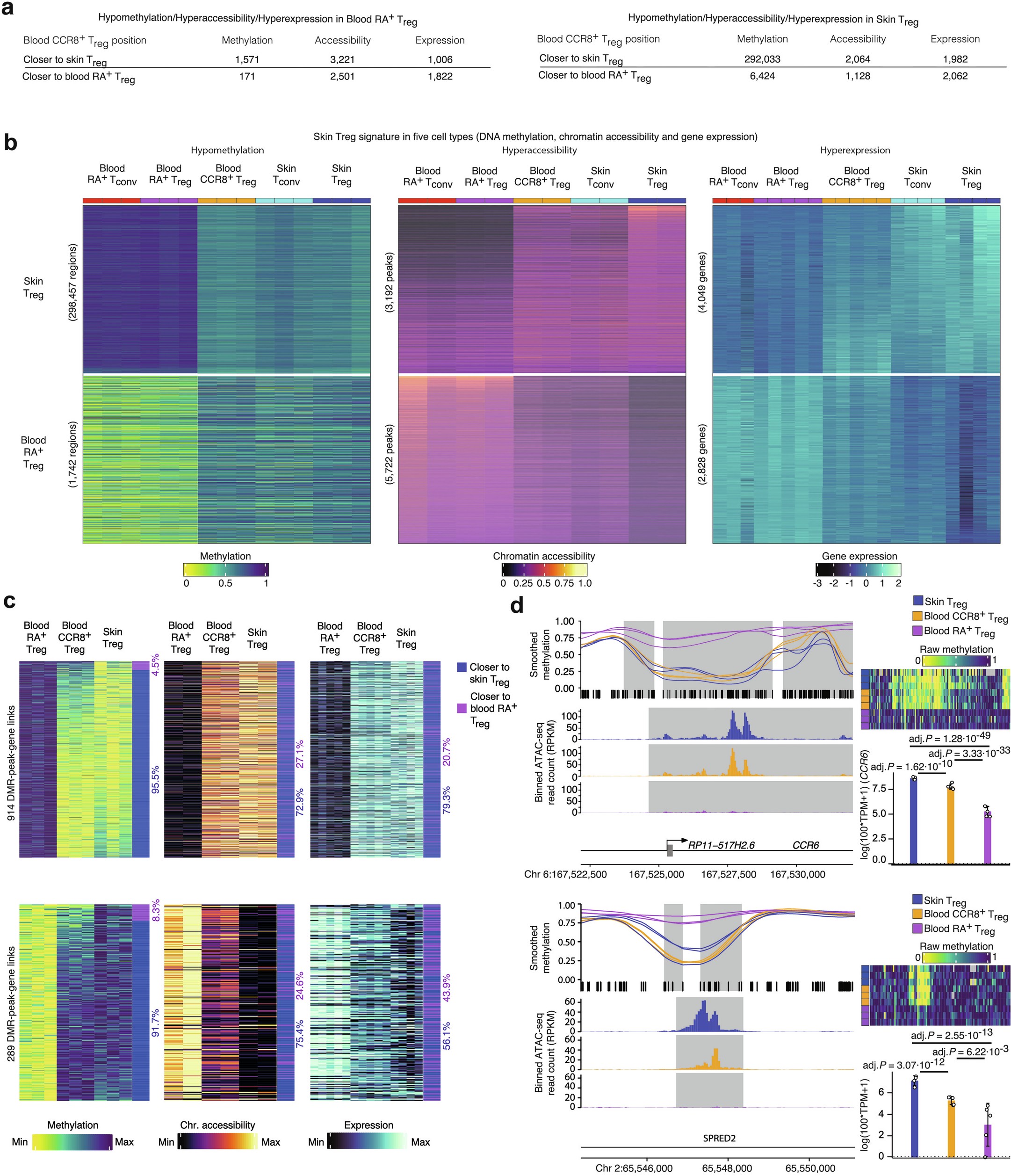 Extended Data Fig. 6: The ‘Skin Treg ’ signature across many cell types and the molecular positioning of blood CCR8+ Treg cells.