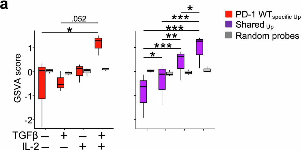 Extended Data Fig. 5: WTspecific and Shared program scoring to T cells activated +/- TGFβ and IL-2.