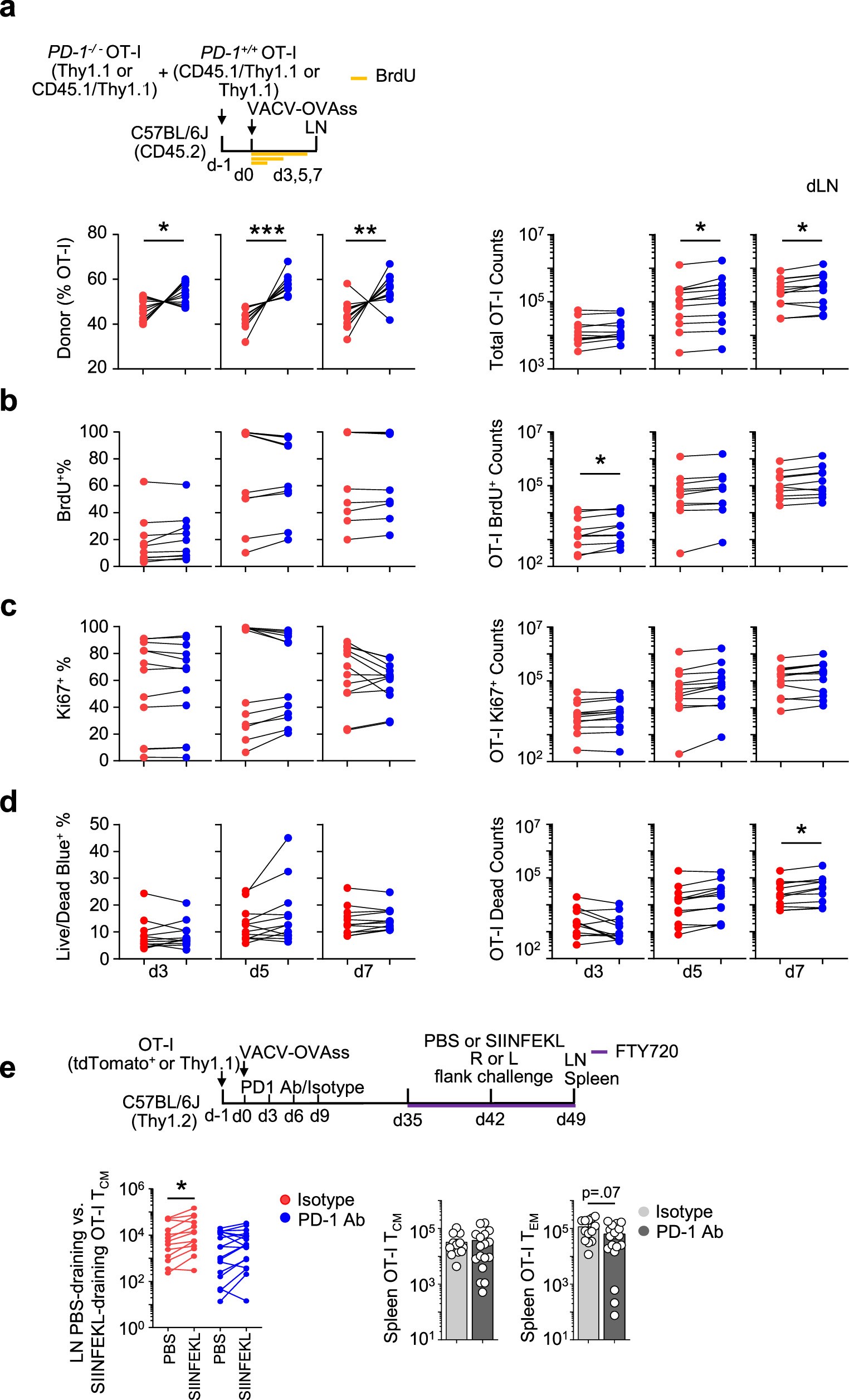 Extended Data Fig. 3: LN early BrdU, Ki67, and live/dead comparisons; early anti-PD1 effects on circulating memory in spleen & LN.