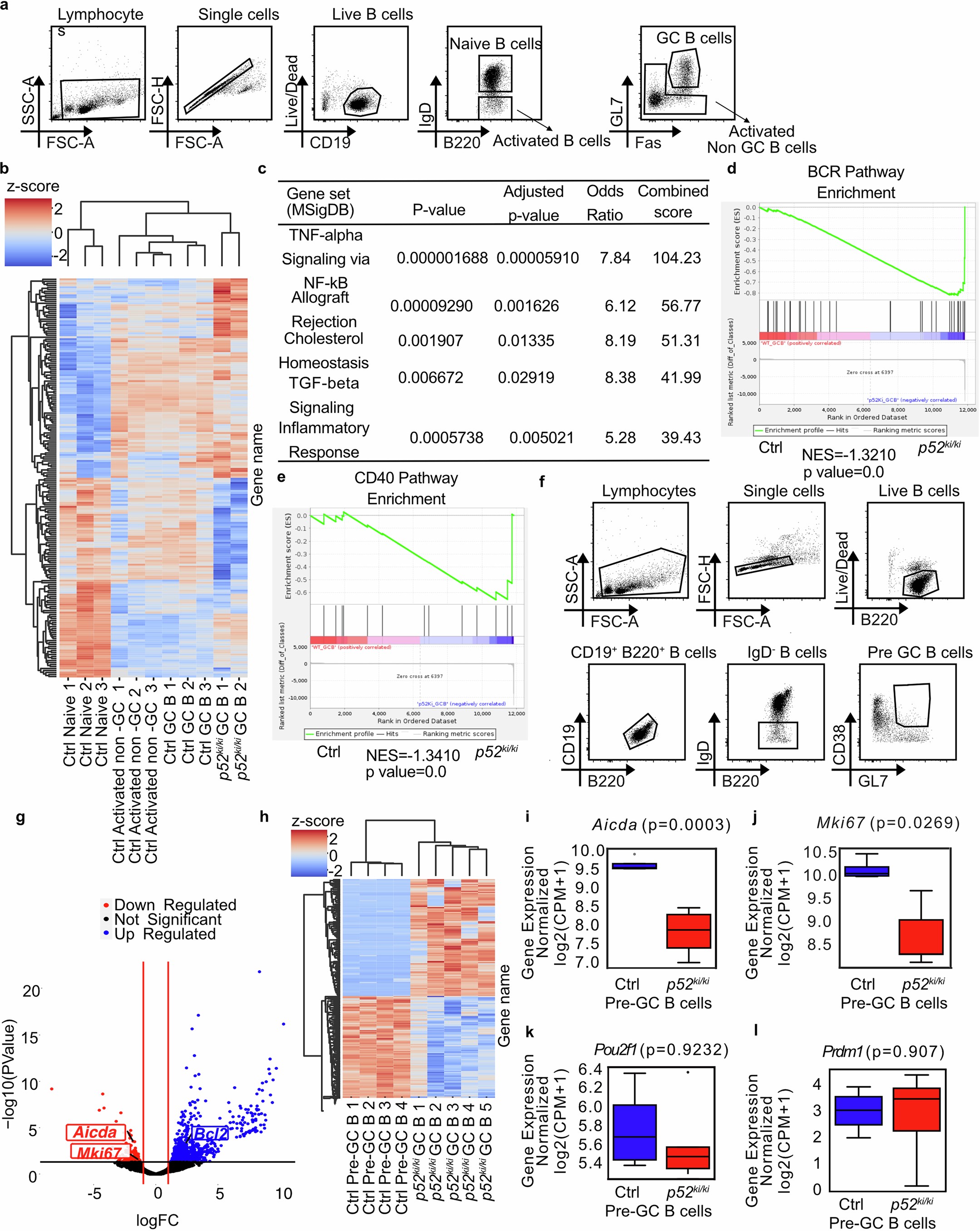 Extended Data Fig. 5