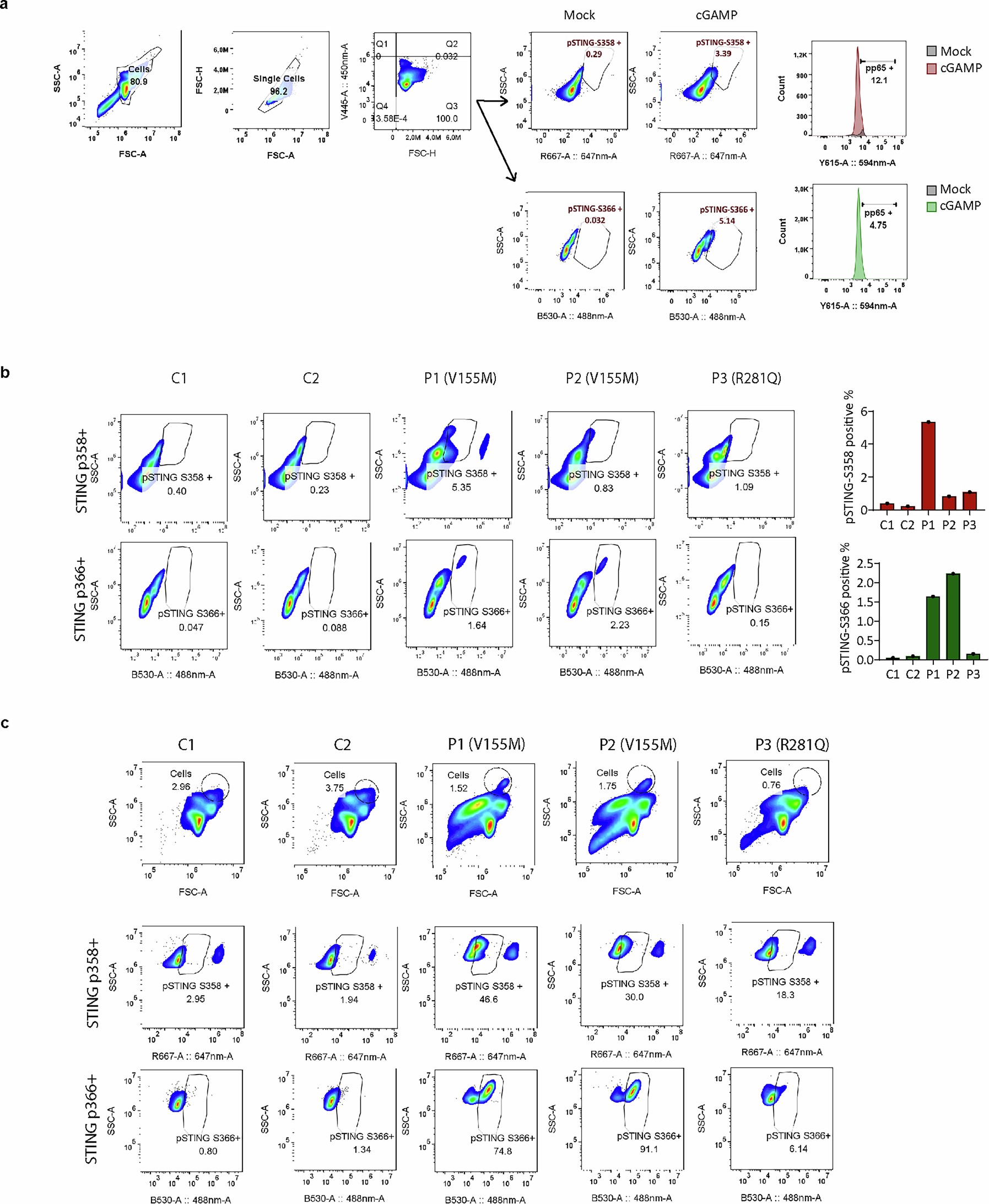 Extended Data Fig. 8: Gating strategy for flow cytometry analysis of human PBMCs.