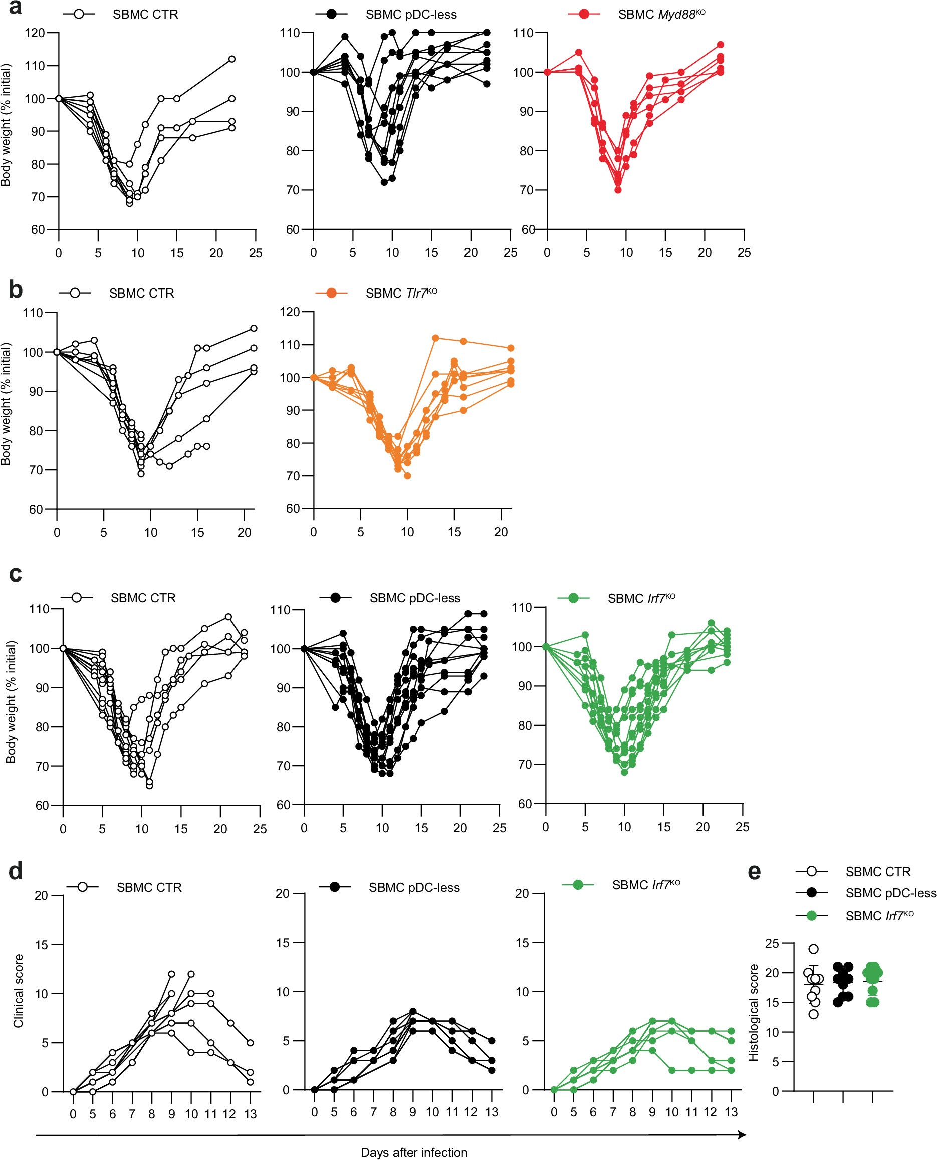 Extended Data Fig. 5: Weight curves of IAV-infected pDC SBMC mice deficient in pDCs or in molecules involved in Tlr7/Myd88/Irf7 signaling pathway.