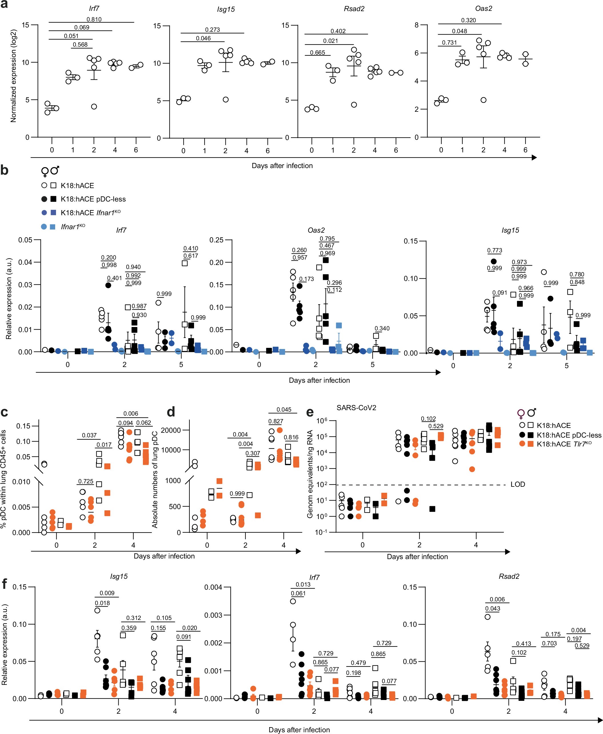 Extended Data Fig. 9: Interferon response and viral control in SARS-CoV-2-infected mice.