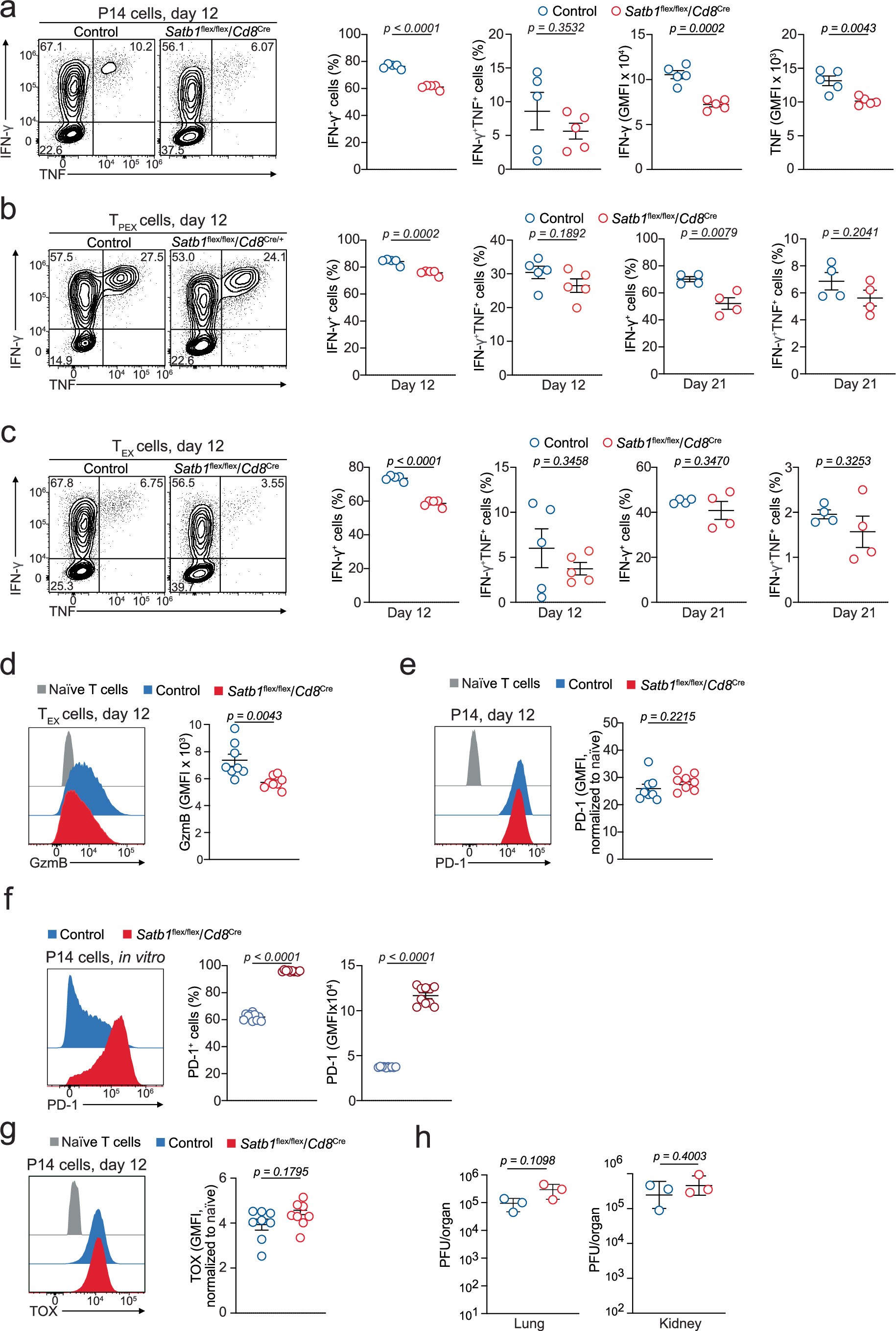 Extended Data Fig. 2: SATB1 promotes functionality of exhausted T cells.