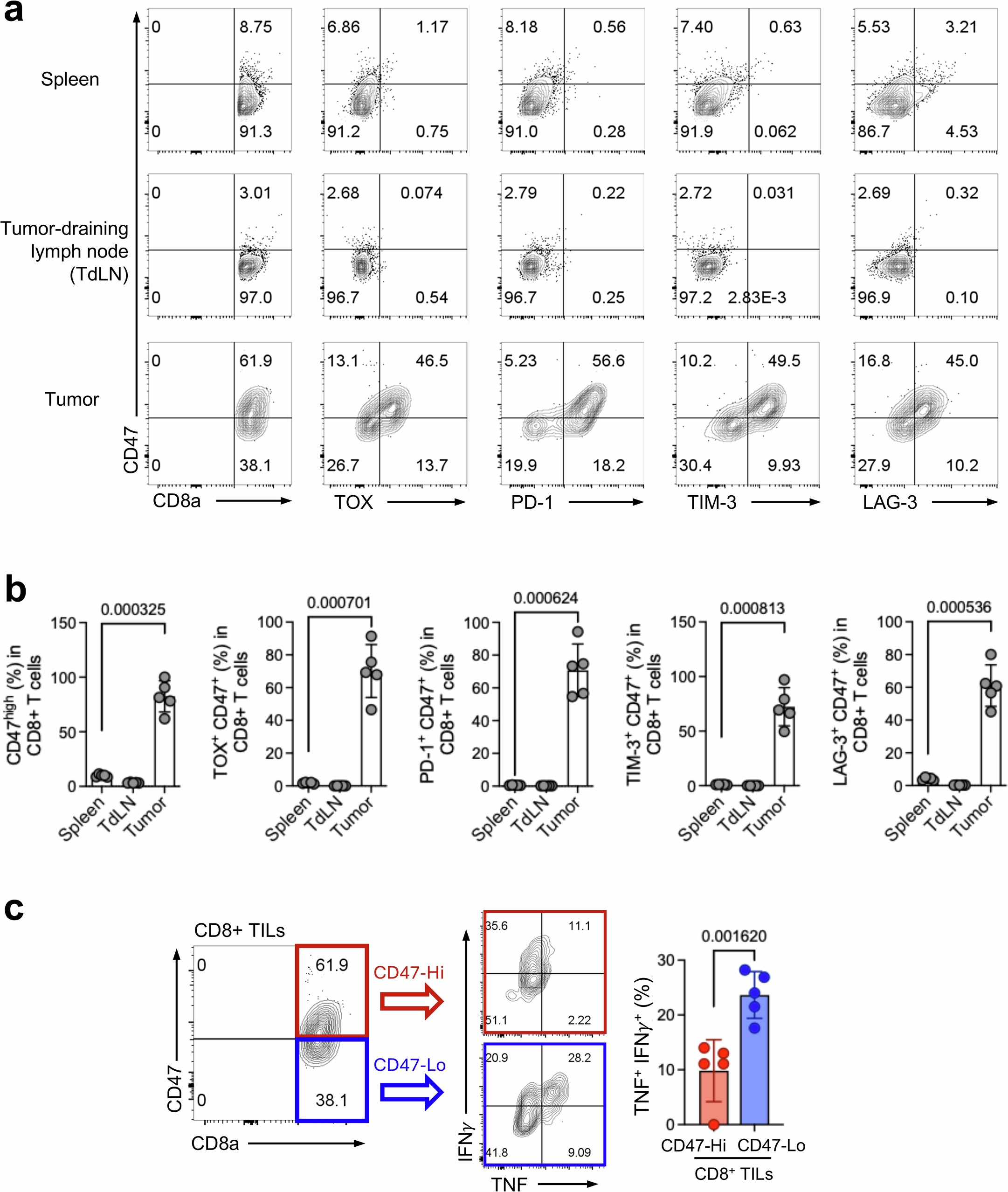 Extended Data Fig. 4: Upregulation of CD47 on tumor CD8+ T cells is associated with hallmarks of T cell exhaustion.