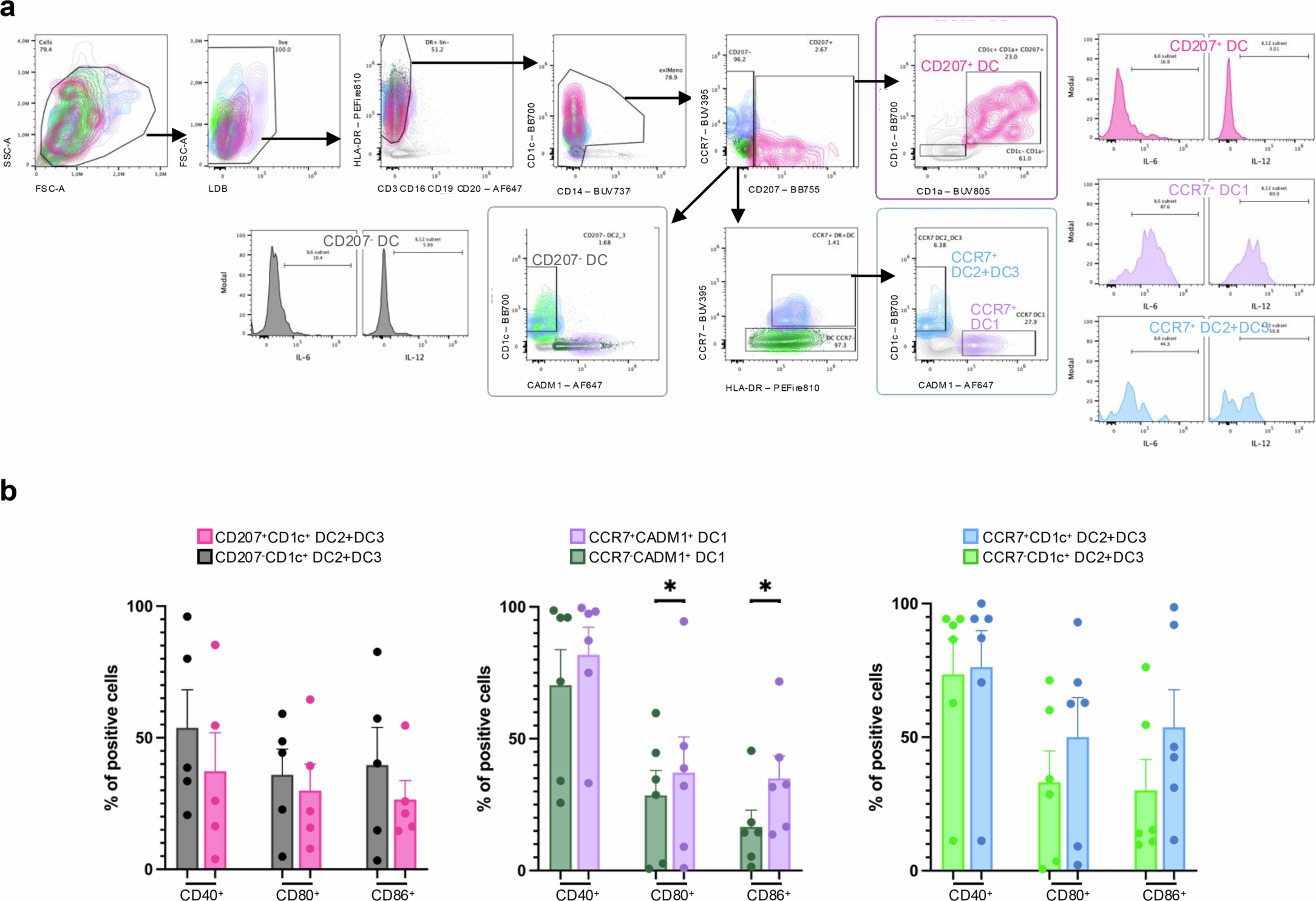 Extended Data Fig. 8: Characterisation of functional mDC states in human cancer patients.