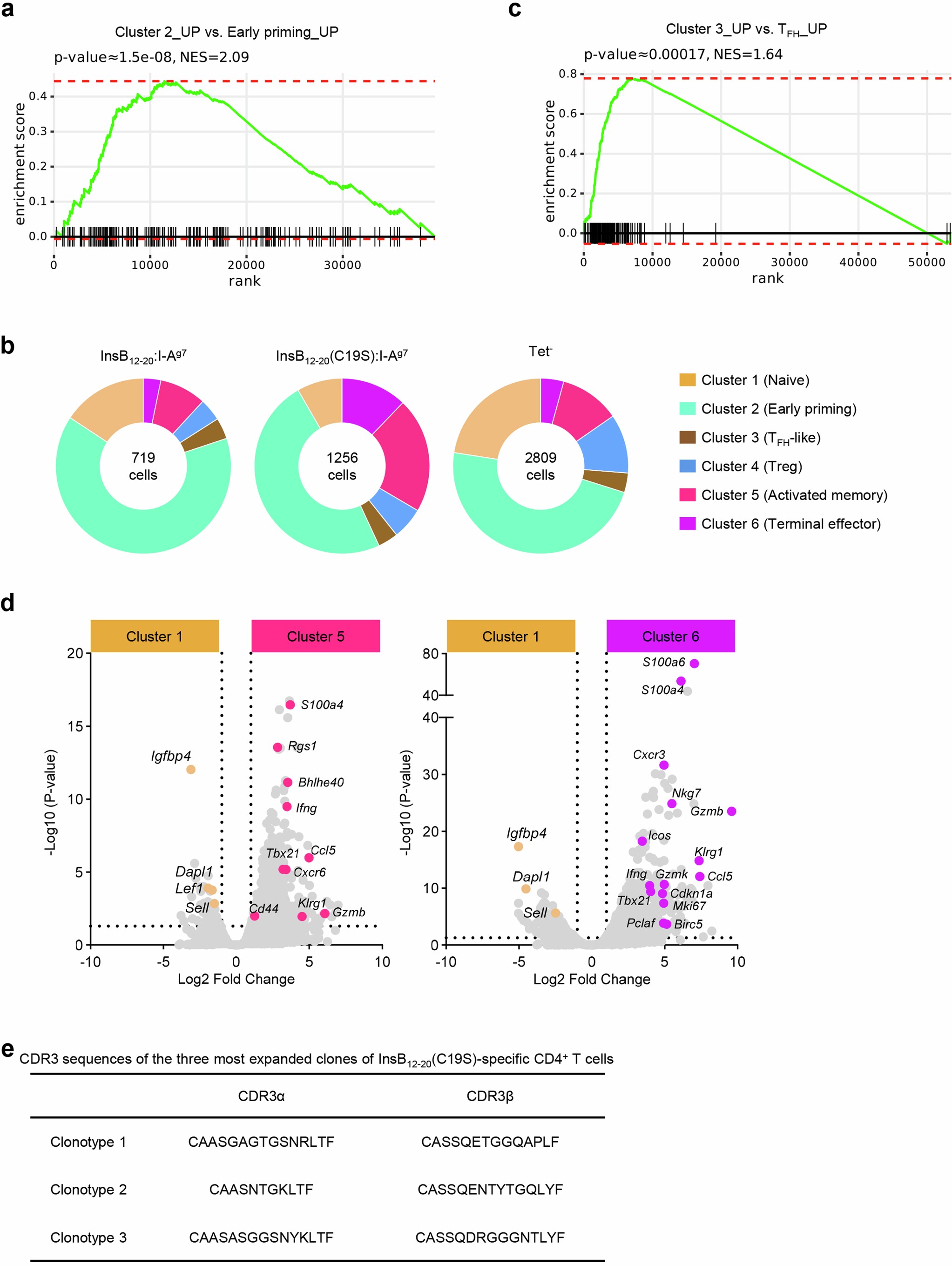 Extended Data Fig. 4: scRNA-seq analysis of InsB12-20- and InsB12-20(C19S)-specific CD4+ T cells in NOD mice.