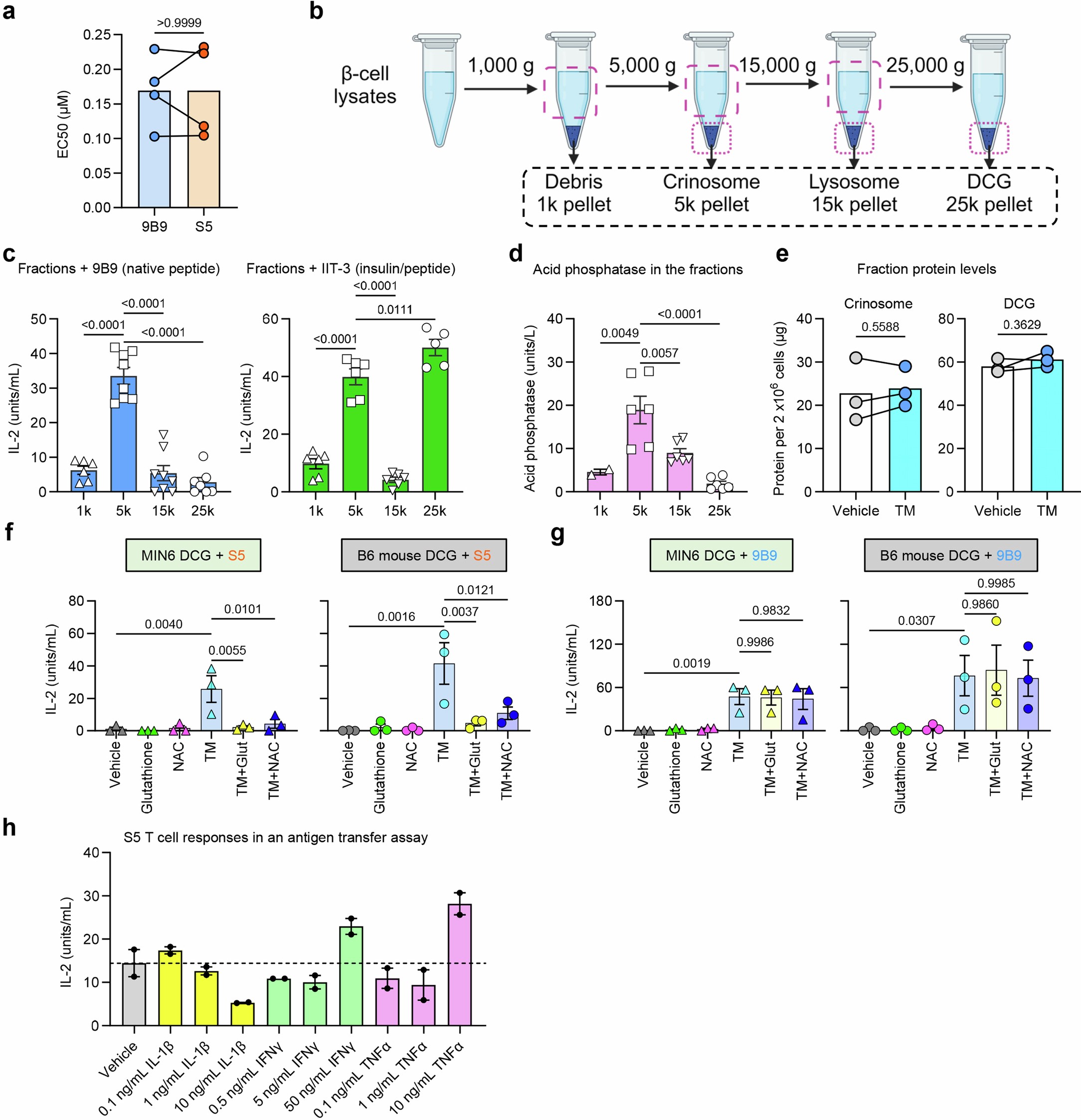 Extended Data Fig. 2: Analysis of C19S transformation in β cells under stress and inflammation.