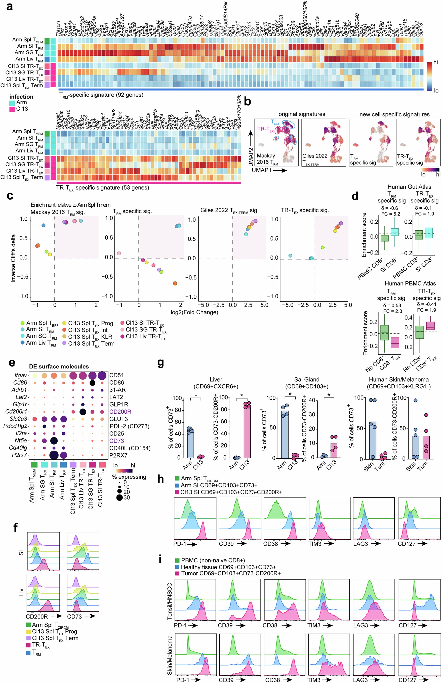 Extended Data Fig. 9: Defining cell state-specific gene and surface protein signatures of TRM and TR-TEX cells.