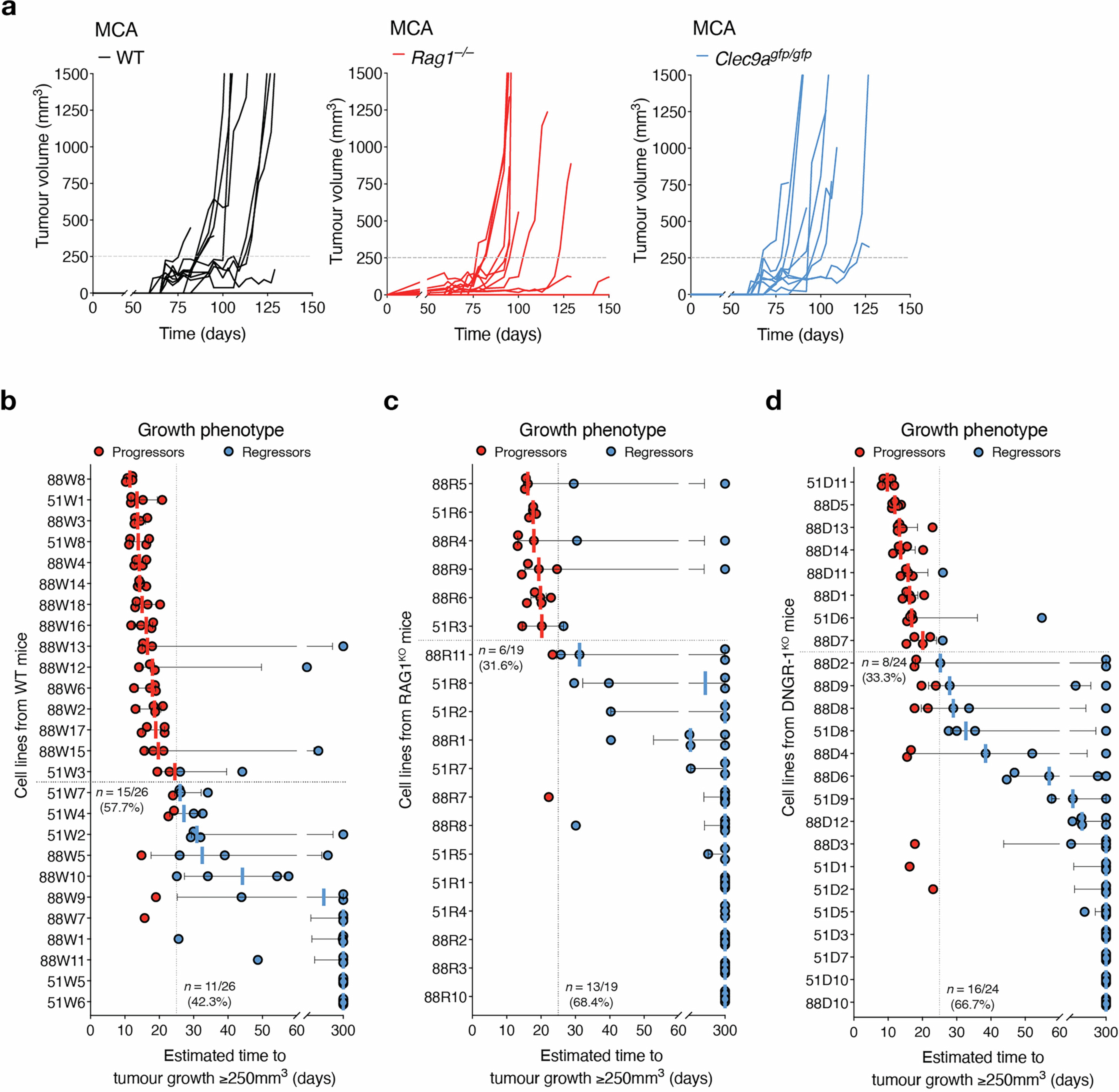 Extended Data Fig. 2: Growth phenotypes of primary tumors, and upon challenge in secondary naïve WT hosts.