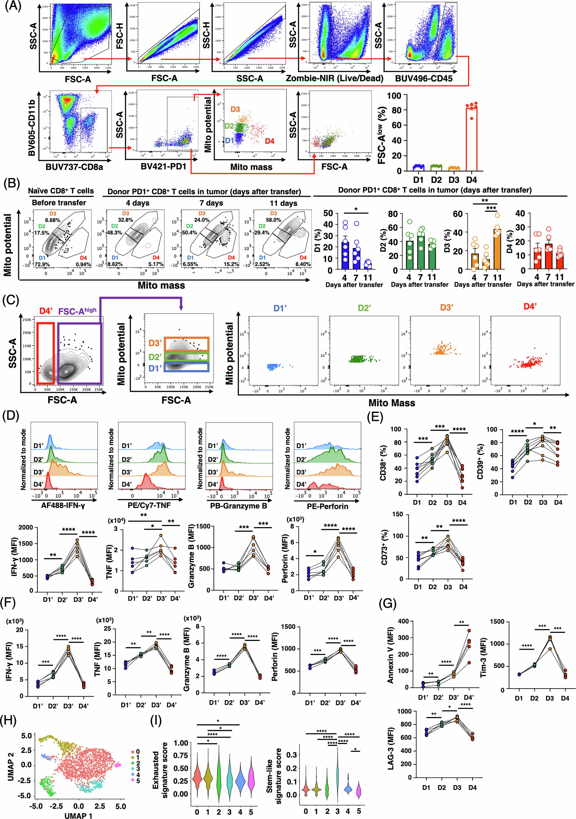 Extended Data Fig. 1: Surrogate markers and phenotypic characterization of D1–D4 populations.