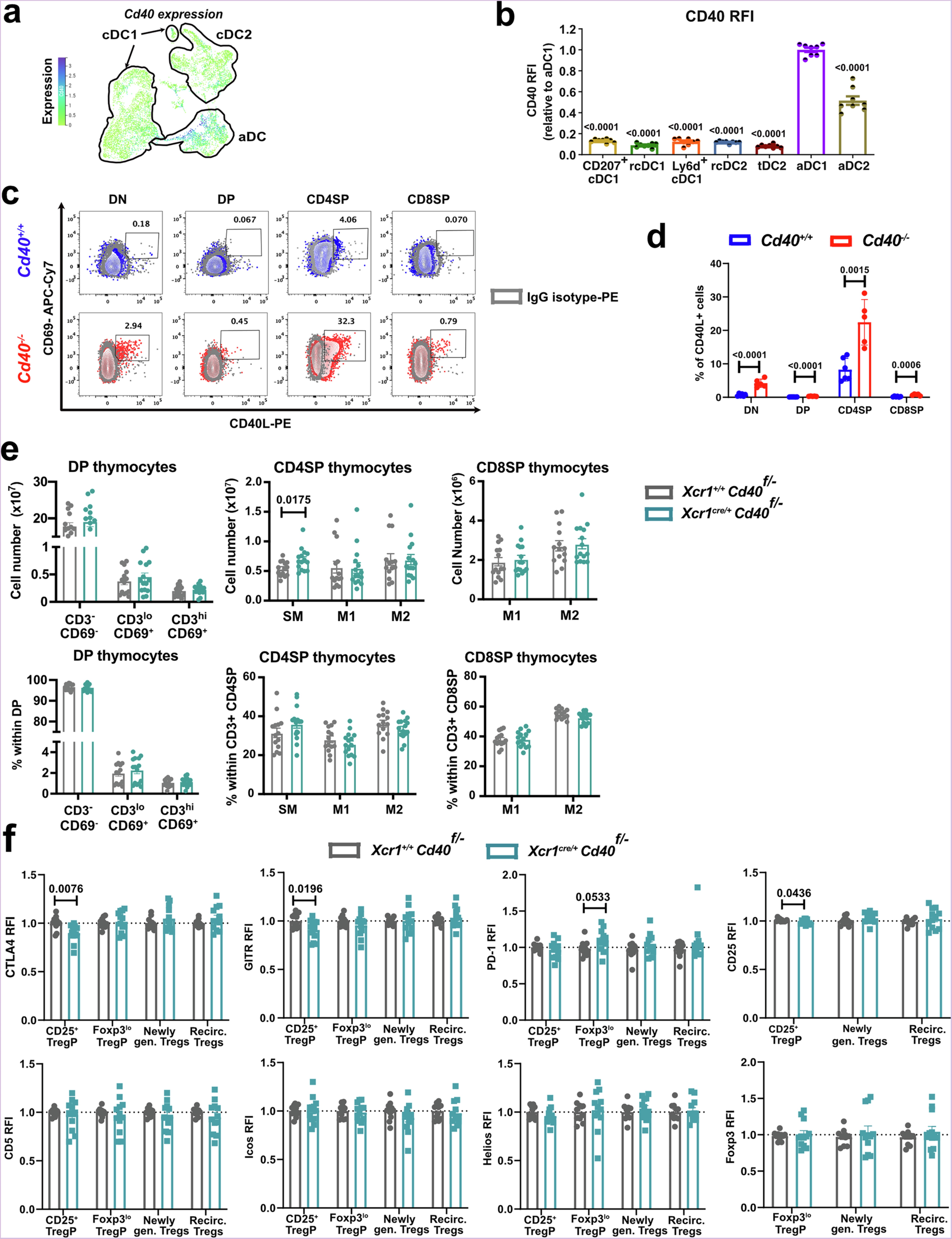 Extended Data Fig. 9: Cognate interactions with CD4SP thymocytes and CD40-CD40L interactions are indispensable for cDC1 activation and central tolerance.