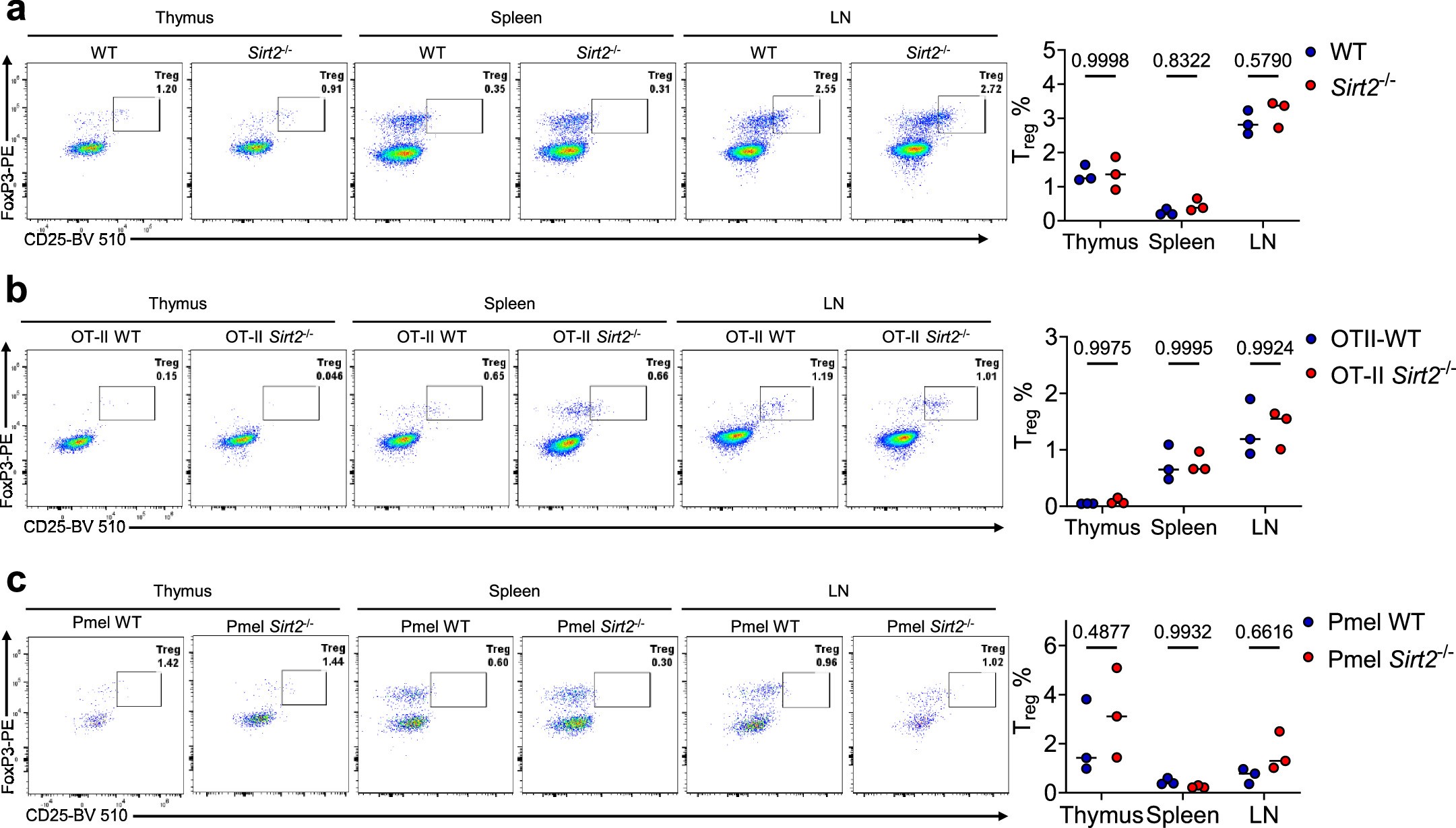 Extended Data Fig. 7: SIRT2 deficiency does not impact Treg cell development.