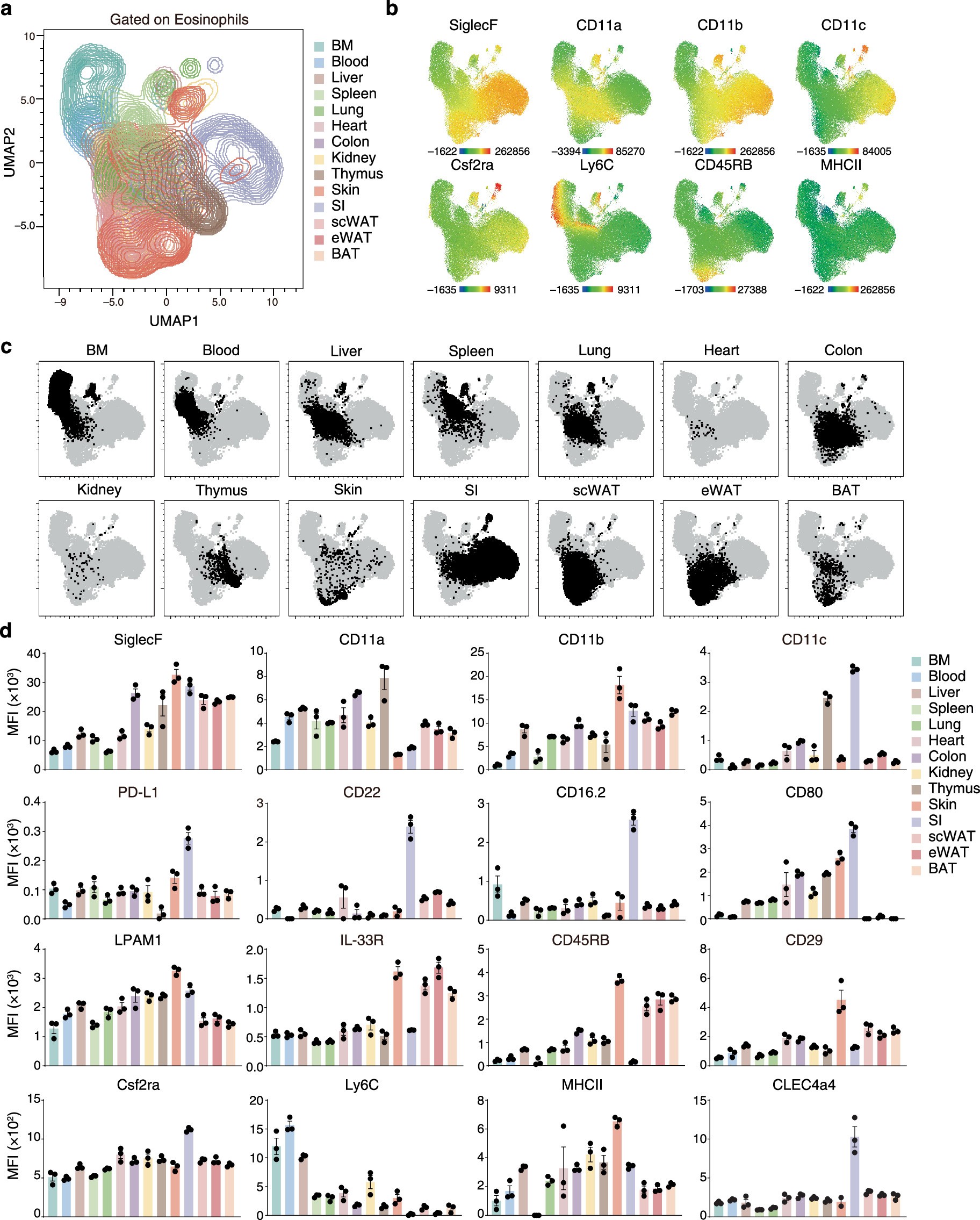 Extended Data Fig. 3: High dimensional protein profiling reveals tissue-imprinted eosinophil identities.
