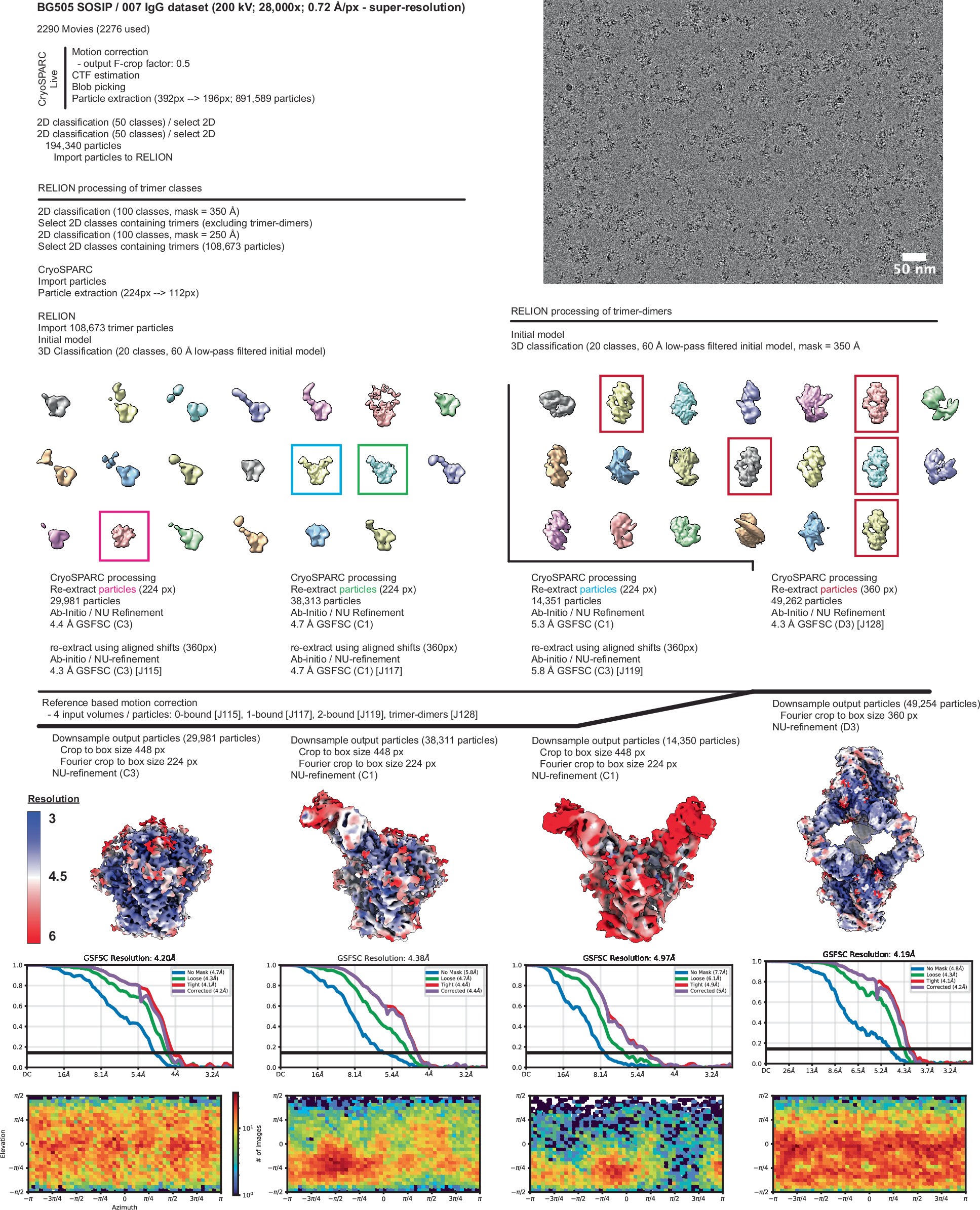 Extended Data Fig. 7: Data collection and processing for 007 IgG-BG505 complexes.