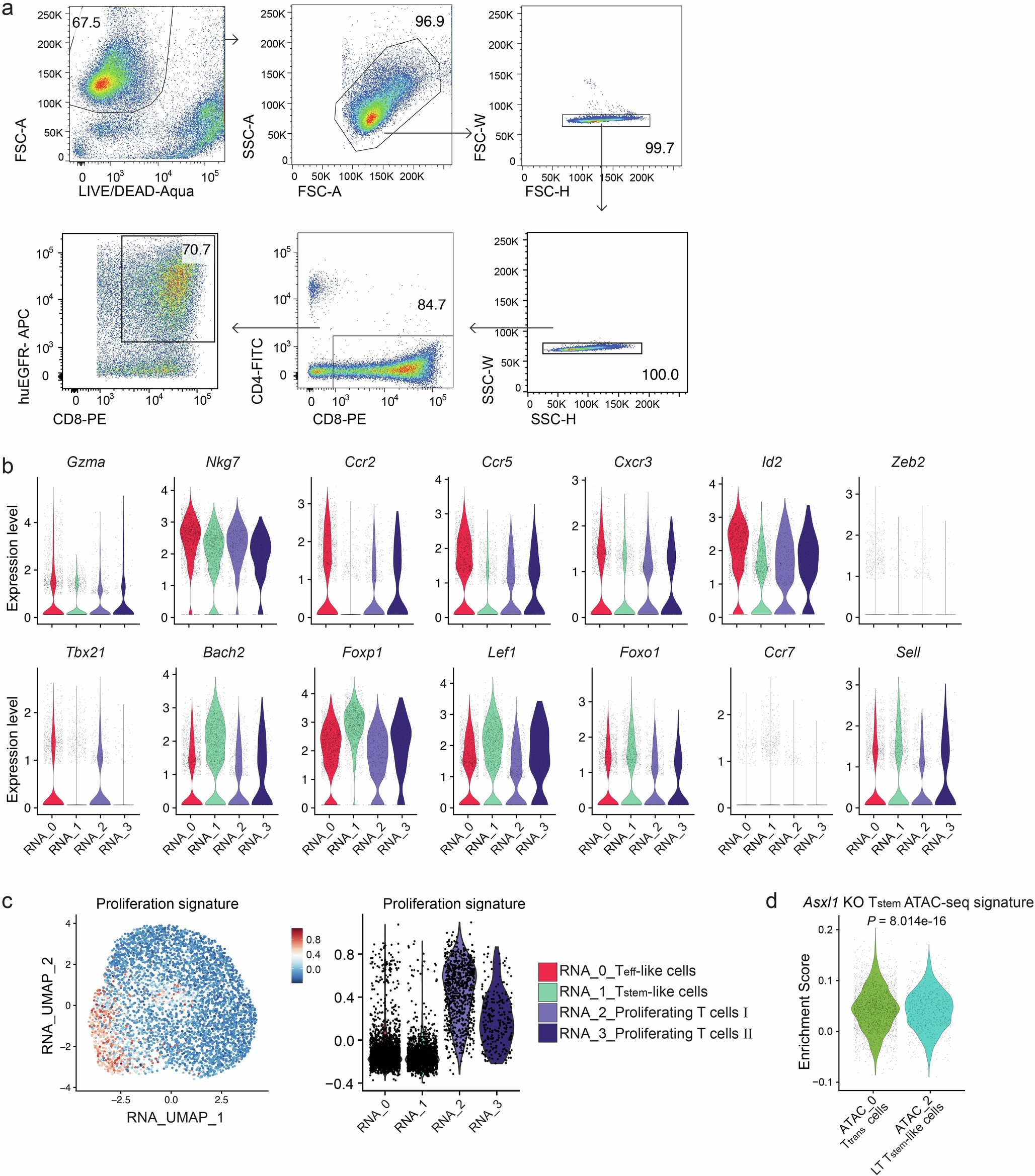Extended Data Fig. 1: scATAC-seq+scRNA-seq analysis of pre-infusion CAR T cells.