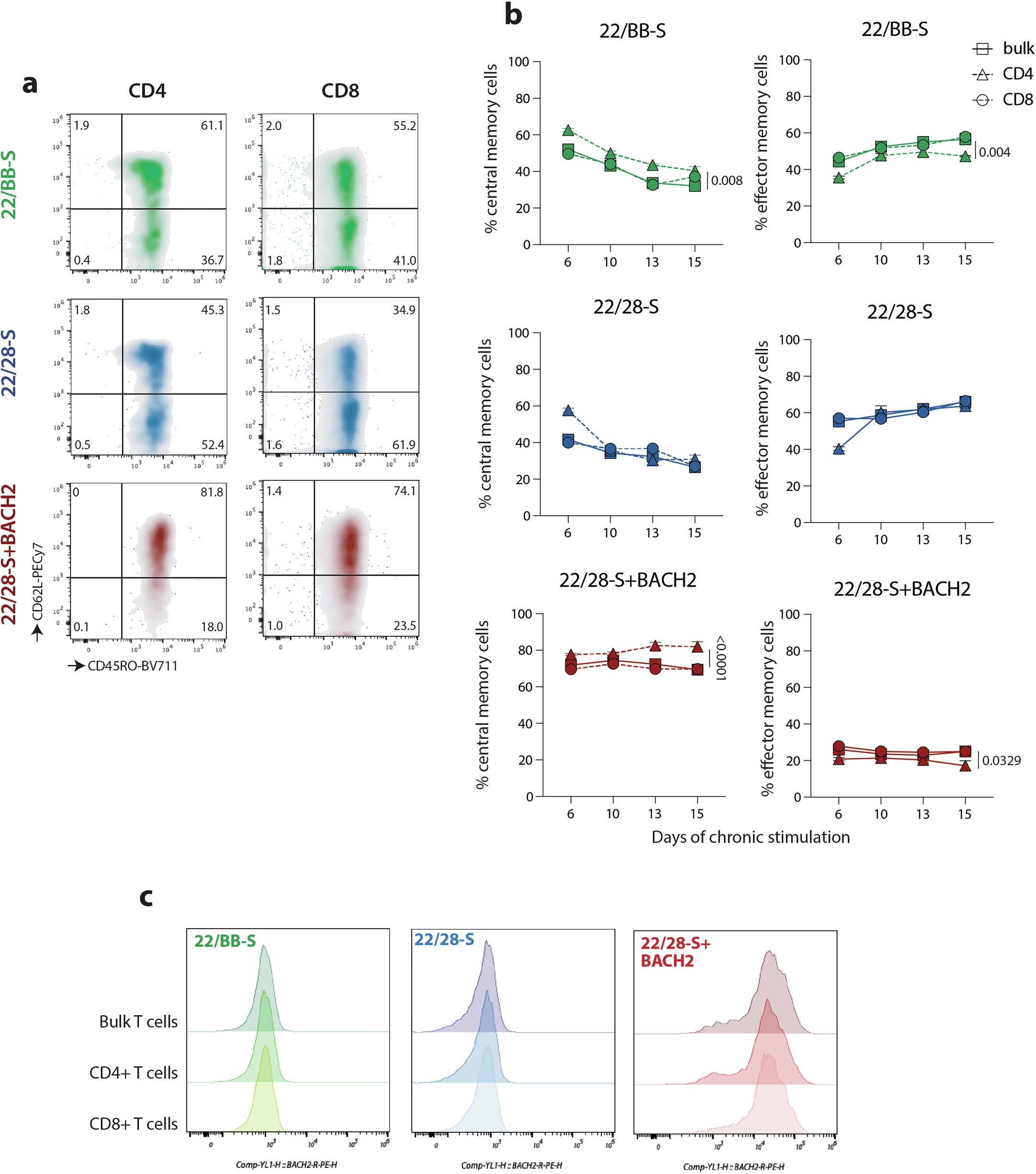 Extended Data Fig. 3: BACH2 overexpression alters CAR T cell lineage commitment
                                    in response to prolonged antigen stimulation.