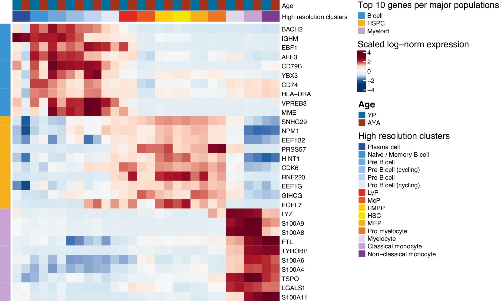 Extended Data Fig. 6: B cell lineage bias in YP BM originates at the level of LyP.