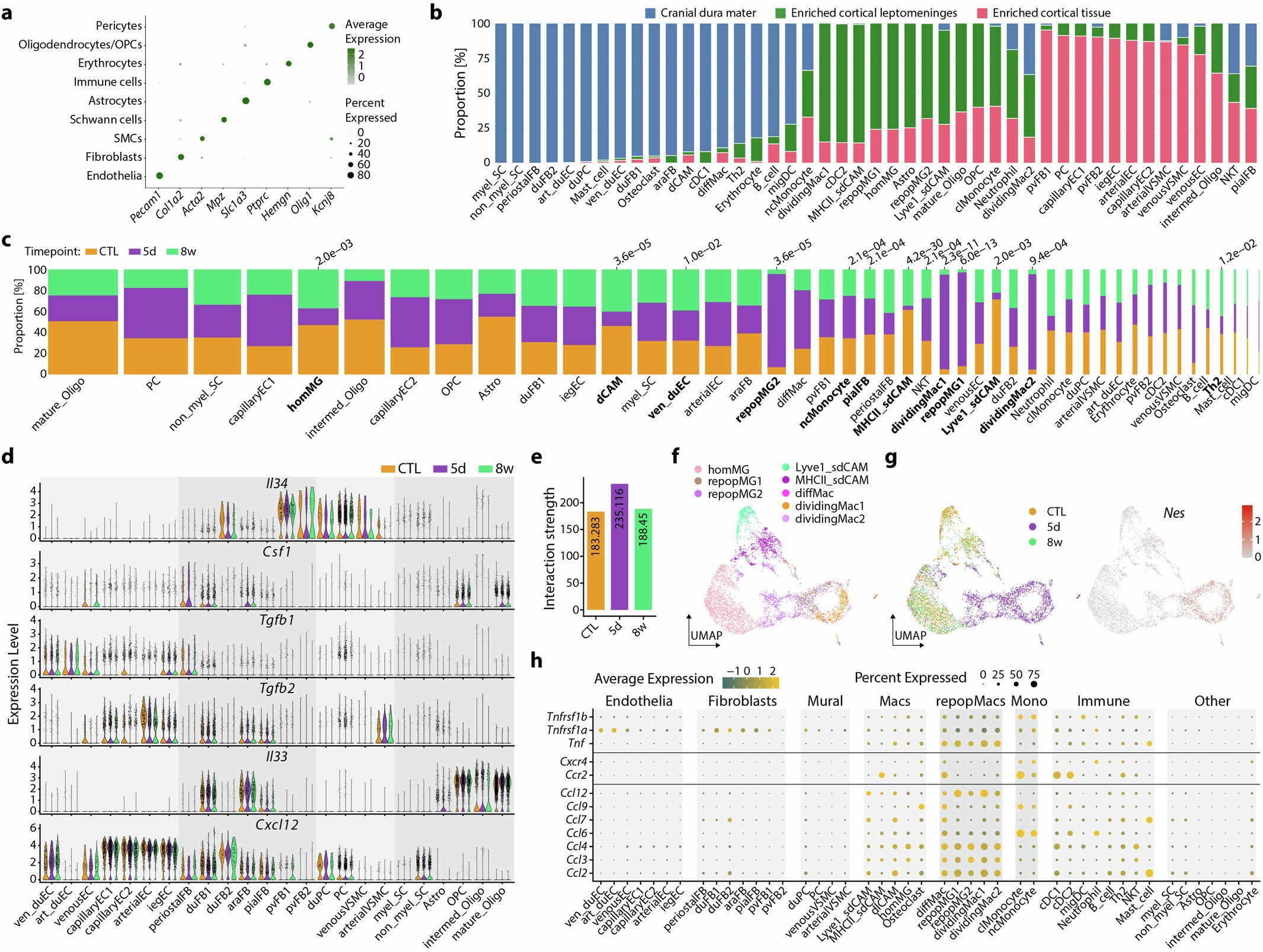 Extended Data Fig. 1: Single-cell RNA-sequencing of the CNS macrophage niche.