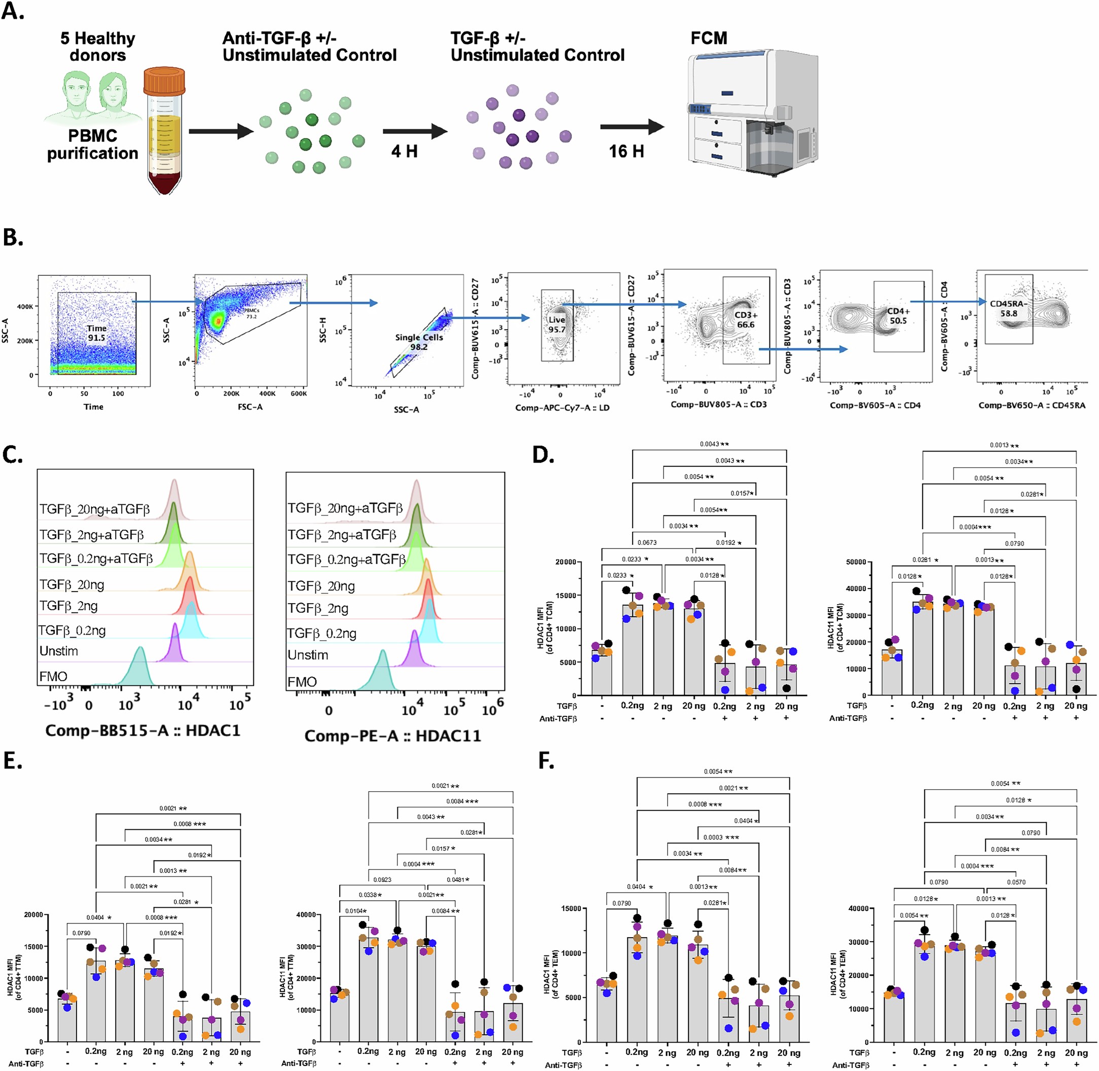 Extended Data Fig. 5: TGF-β induces HDAC expression.