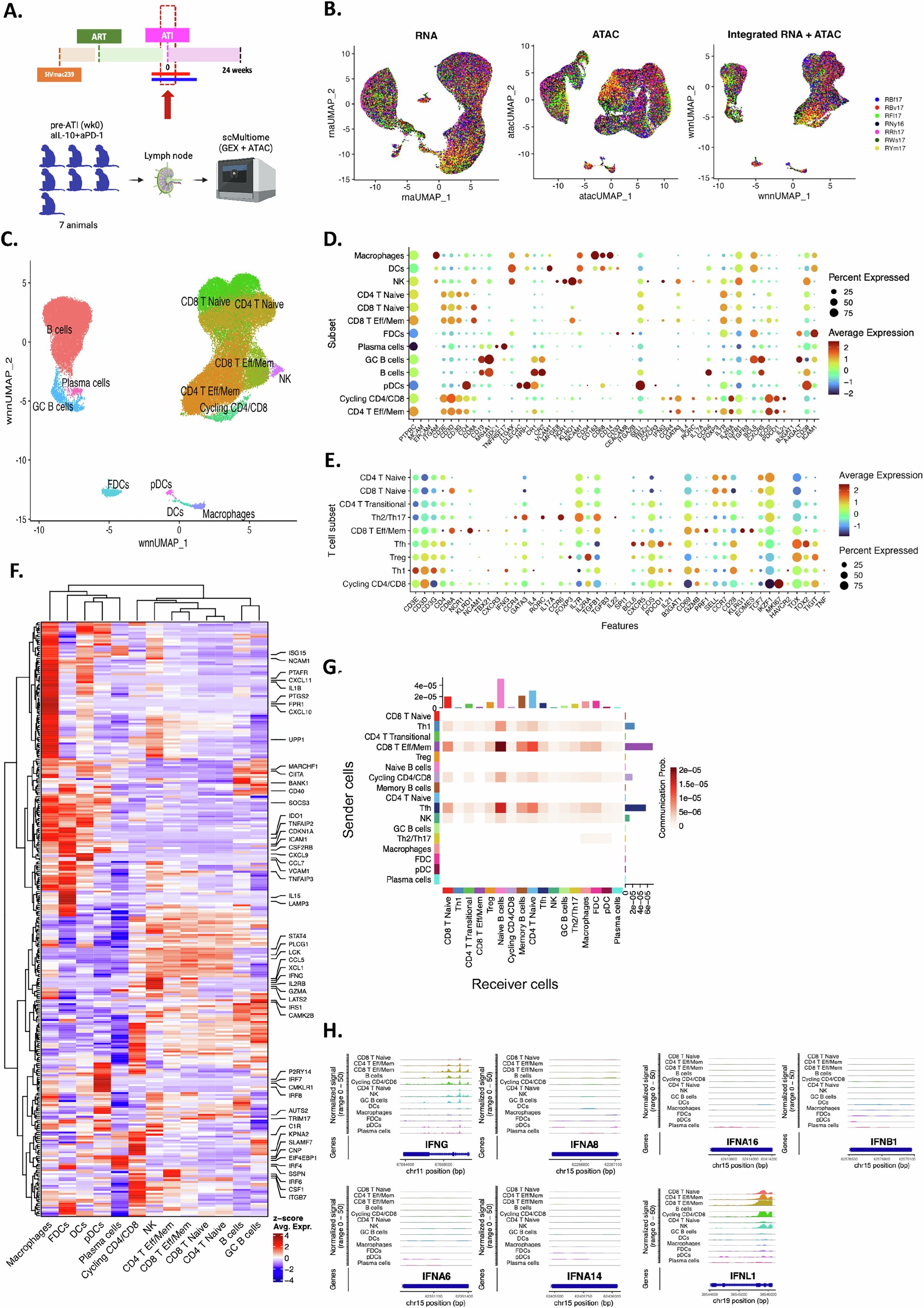 Extended Data Fig. 7: Single-cell multiome gene expression and ATAC-Seq.