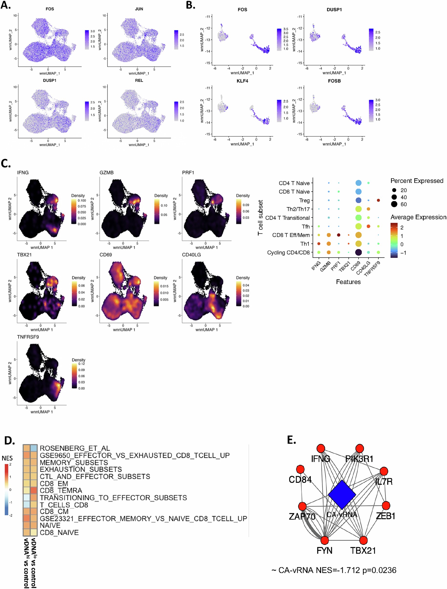 Extended Data Fig. 8: Single-cell gene expression and chromatin accessibility of CEBEP/β target genes in combo-treated RMs.