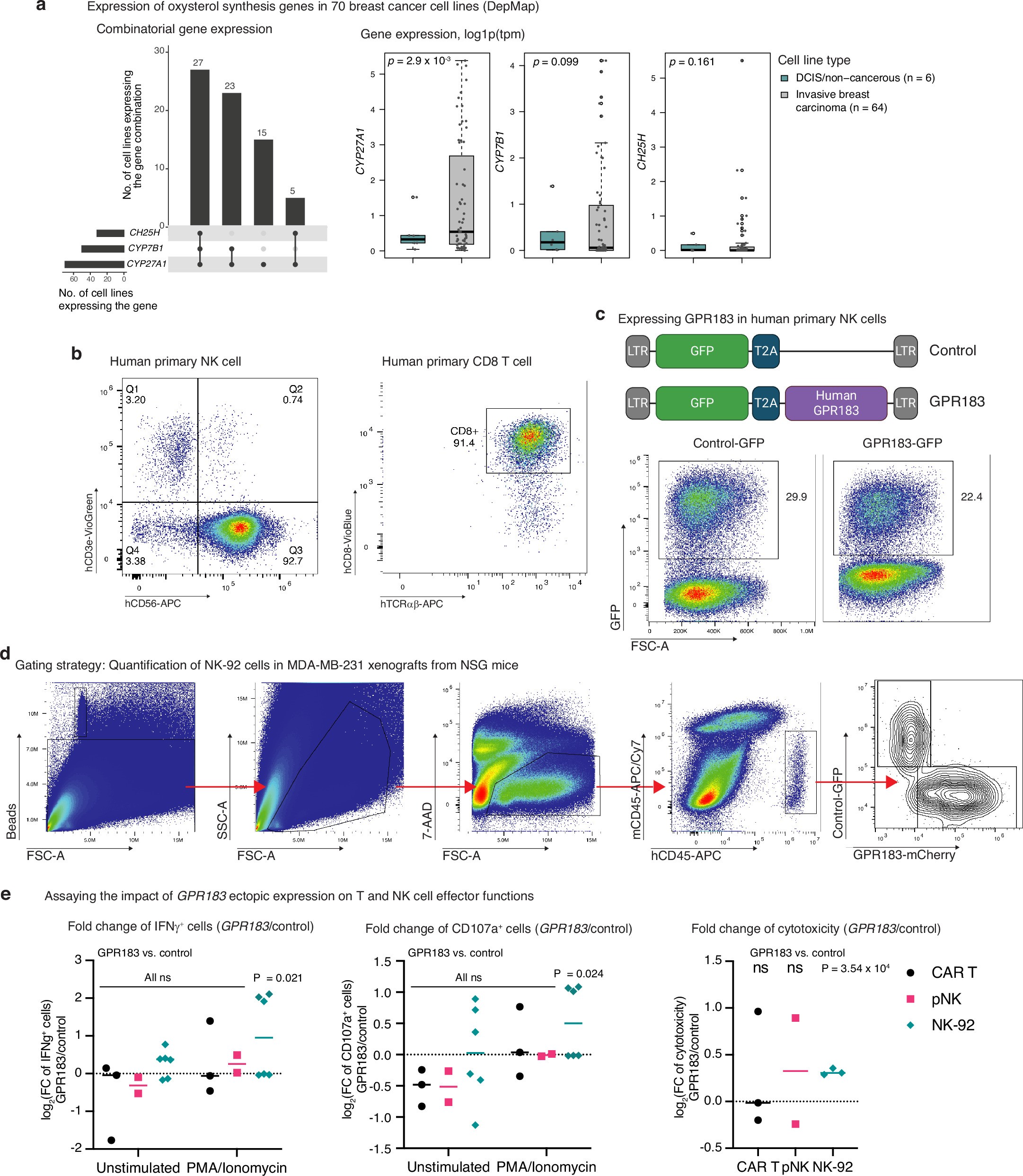 Extended Data Fig. 8: Models and readouts of GPR183 function in the cancer-lymphocyte interplay.