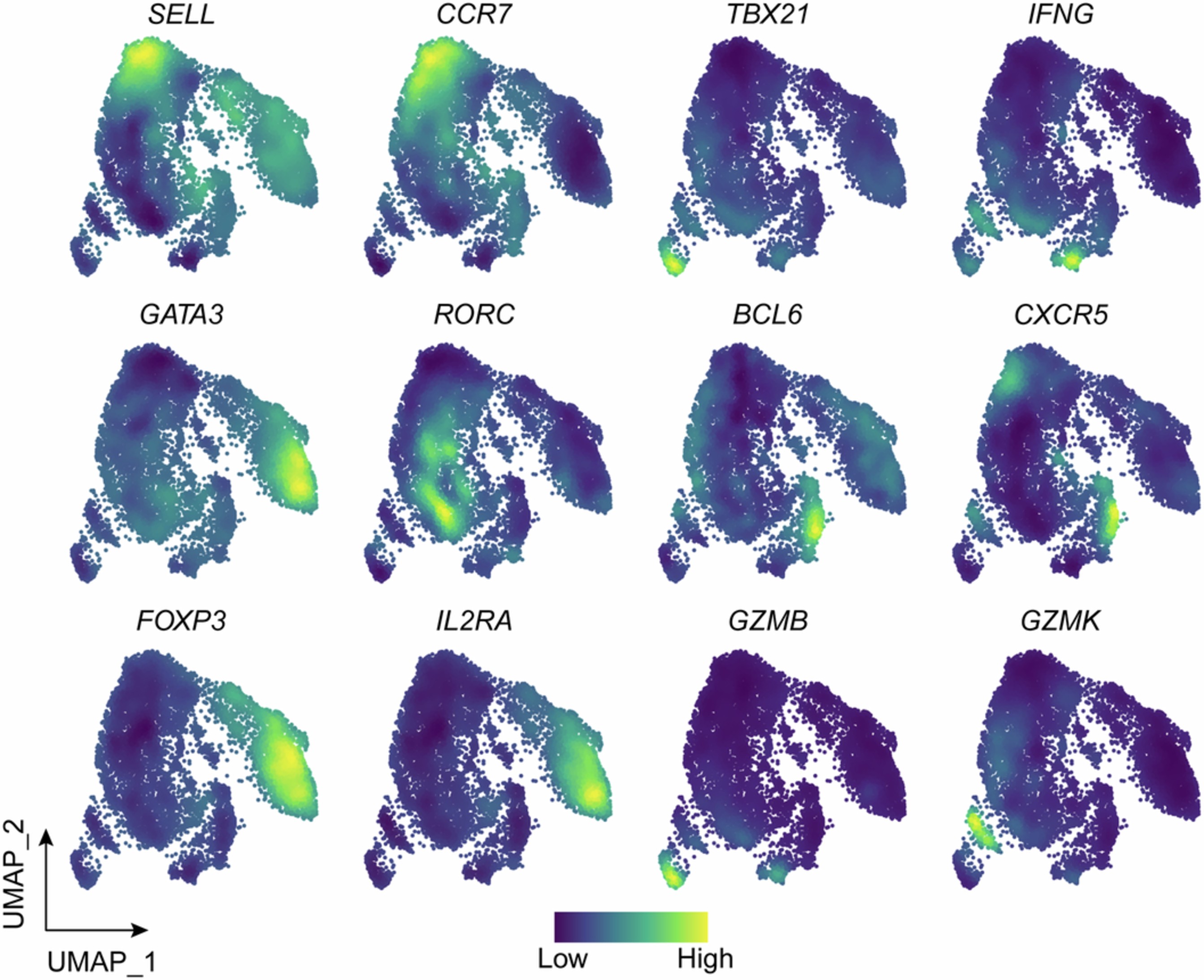 Extended Data Fig. 1: A GZMK-high CD4⁺ T cell population in integrated pan-cancer scRNA-seq data.