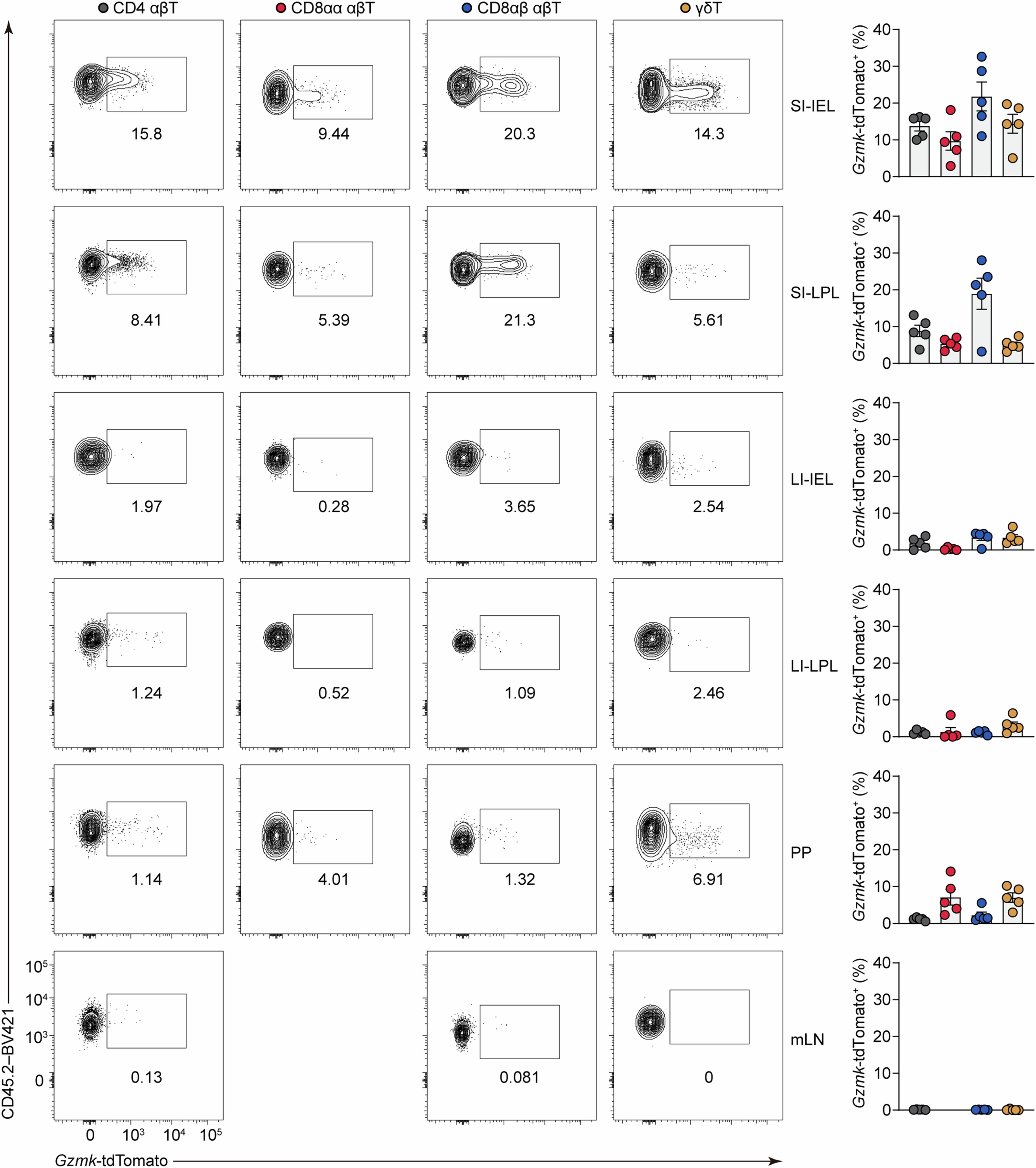 Extended Data Fig. 2: Analysis of Gzmk-tdTomato reporter expression across intestinal and lymphoid tissues in steady-state mice.