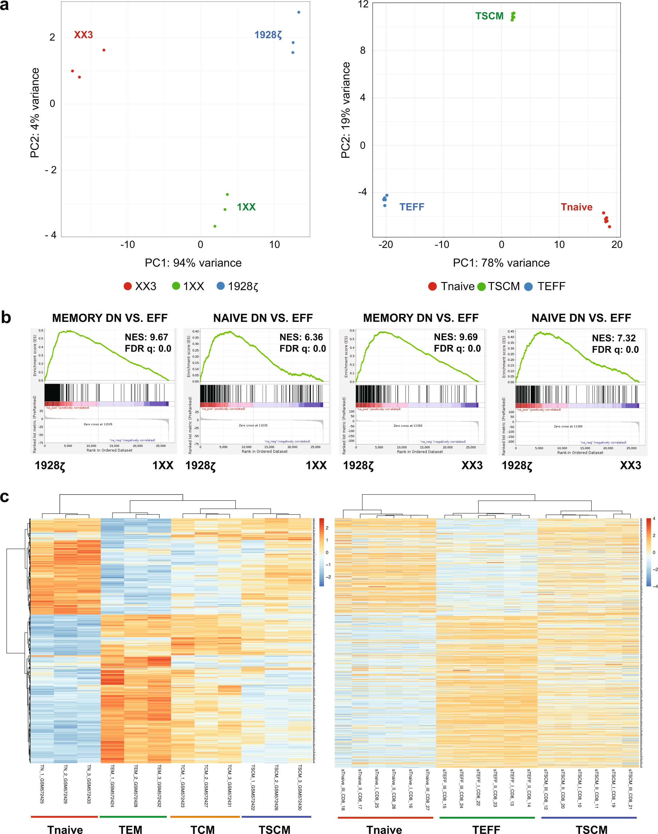 Extended Data Fig. 8: Transcriptional profiles of TRAC-encoded 1928ζ mutants and sorted control T cells.