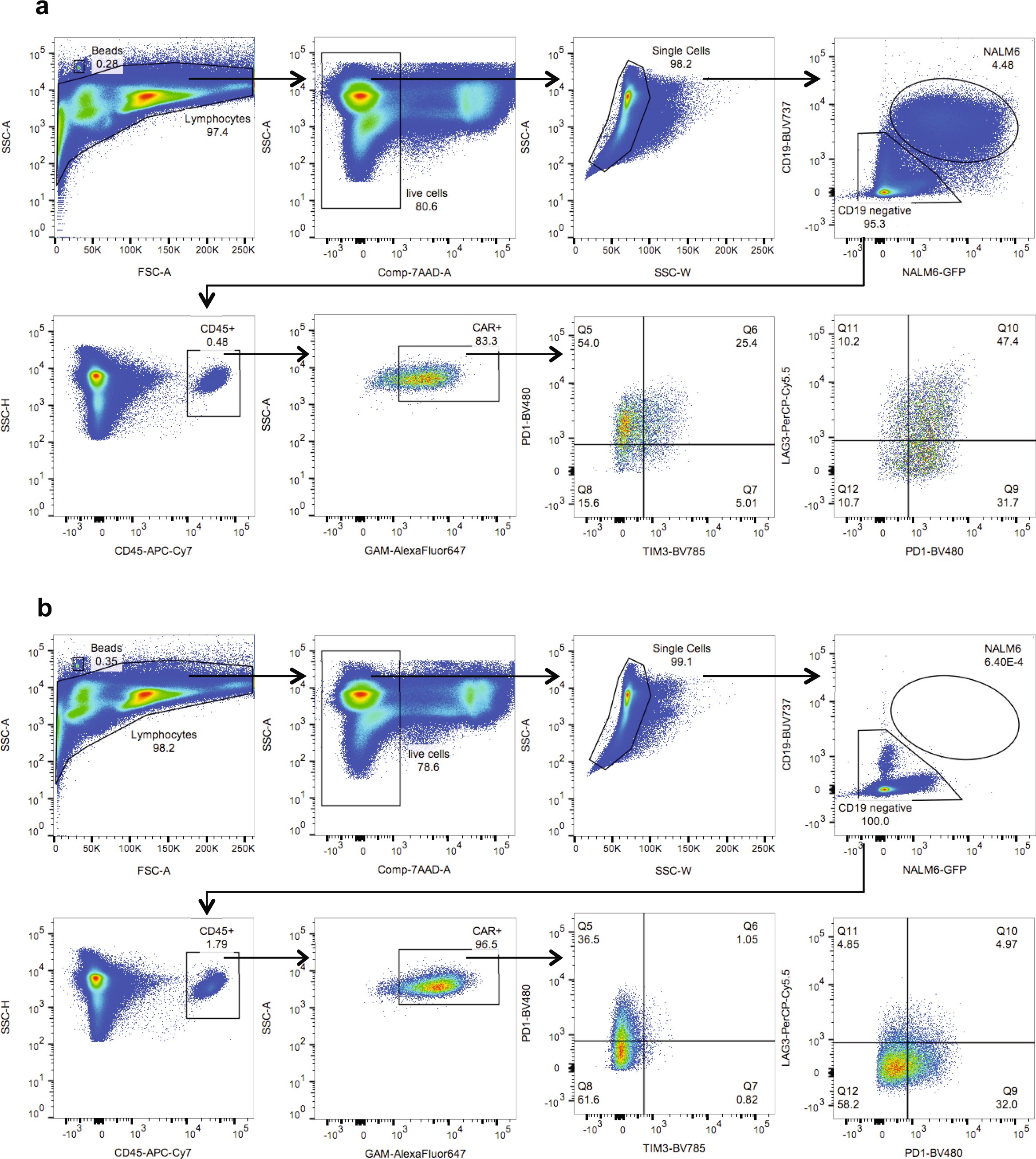 Extended Data Fig. 10: Gating strategy to analyze CAR T cells obtained from bone marrow of treated mice.